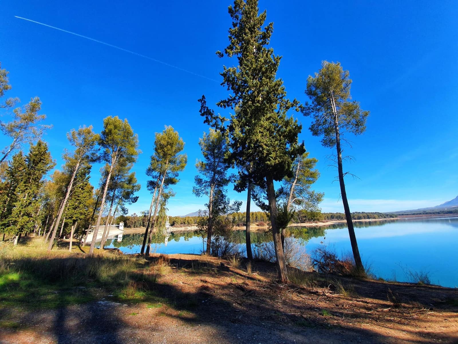 Bedrift til salgs i Atarfe med garasje - € 895 000 (Ref: 8860793)