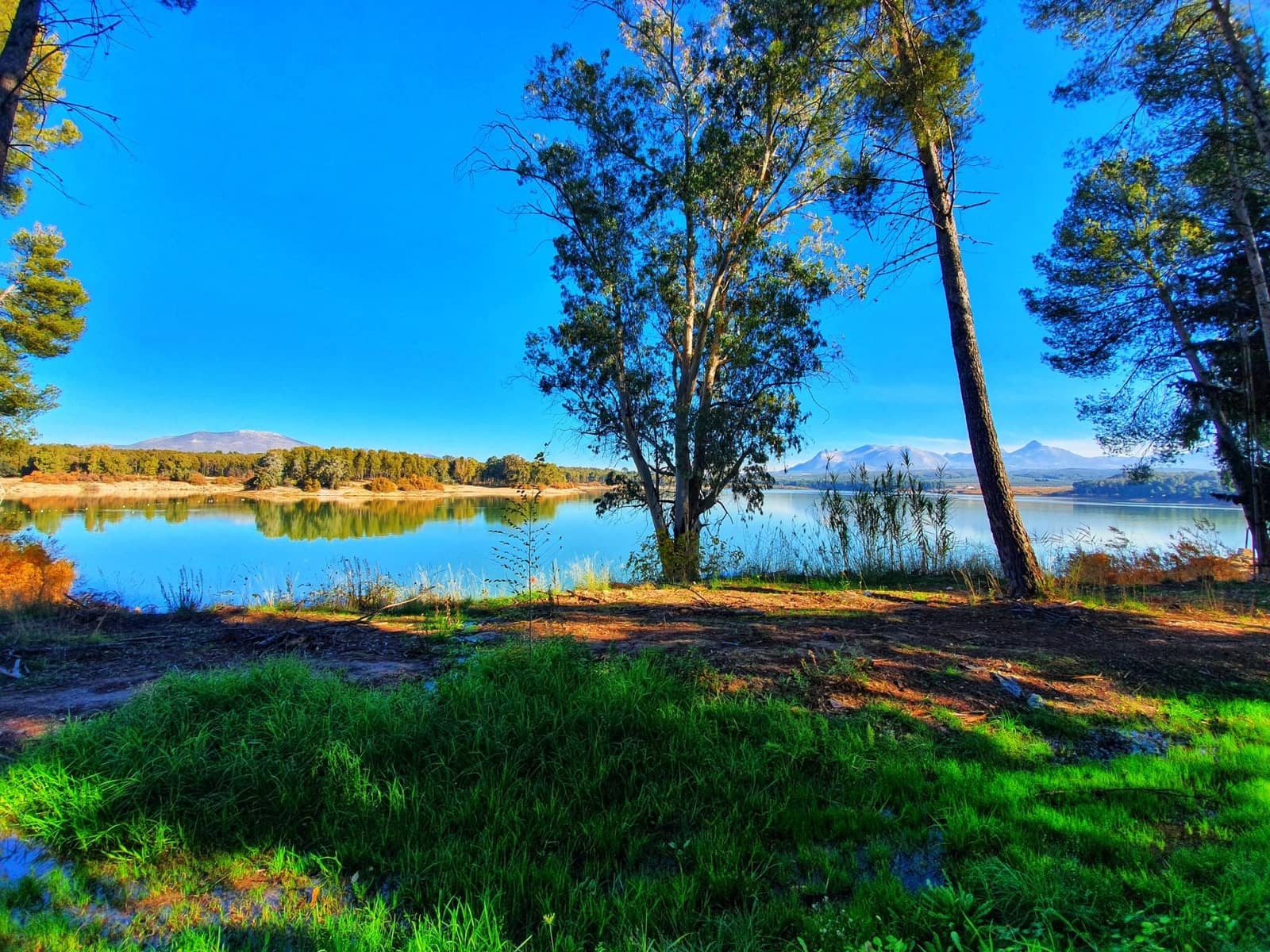 Bedrift til salgs i Atarfe med garasje - € 895 000 (Ref: 8860793)