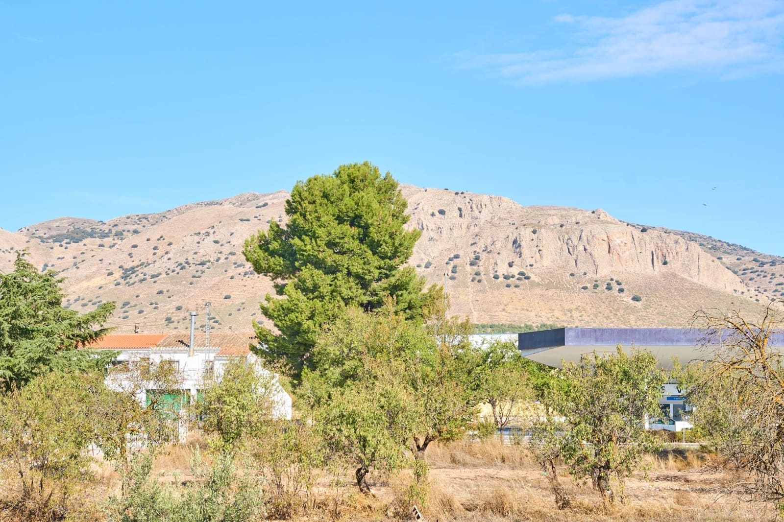 3 soverom Finca/Herregård til salgs i Las Vertientes med garasje - € 85 000 (Ref: 8893081)