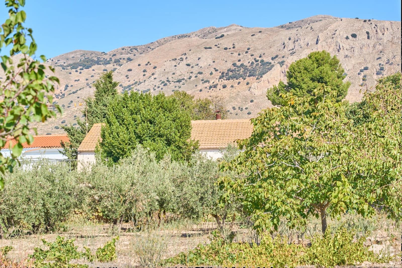 3 soverom Finca/Herregård til salgs i Las Vertientes med garasje - € 85 000 (Ref: 8893081)