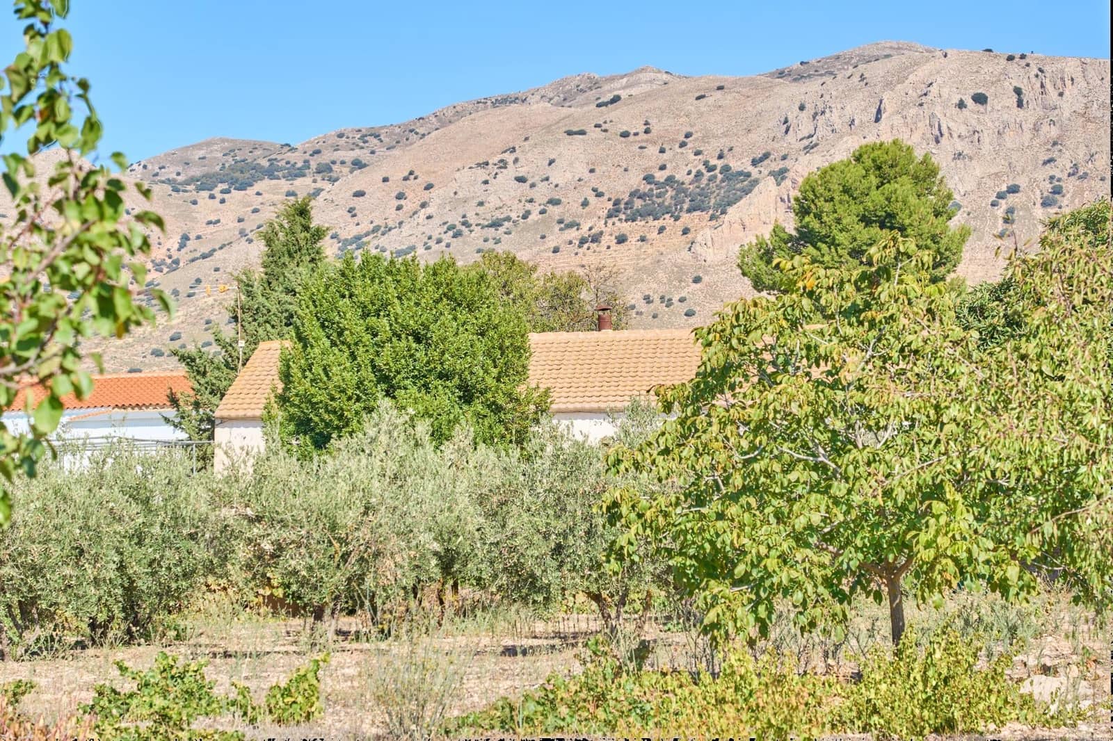 3 Zimmer Finca/Landgut zu verkaufen in Las Vertientes mit Garage - 79.000 € (Ref: 8893081)