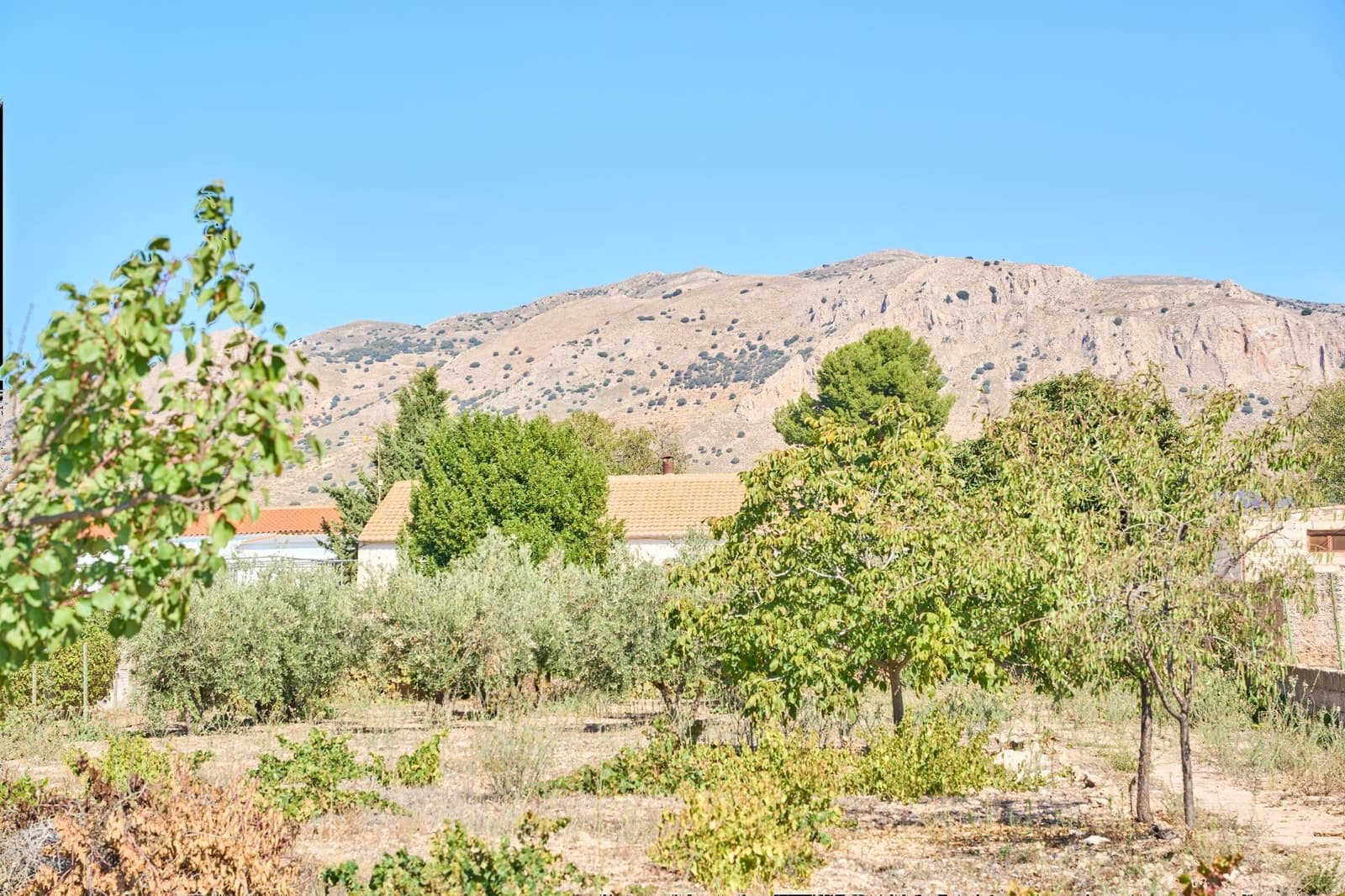 3 Zimmer Finca/Landgut zu verkaufen in Las Vertientes mit Garage - 79.000 € (Ref: 8893081)