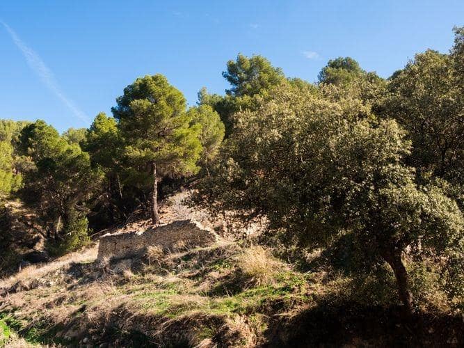 10 soveværelse Villa til salg i Castril med swimmingpool garage - € 8.500.000 (Ref: 8895019)