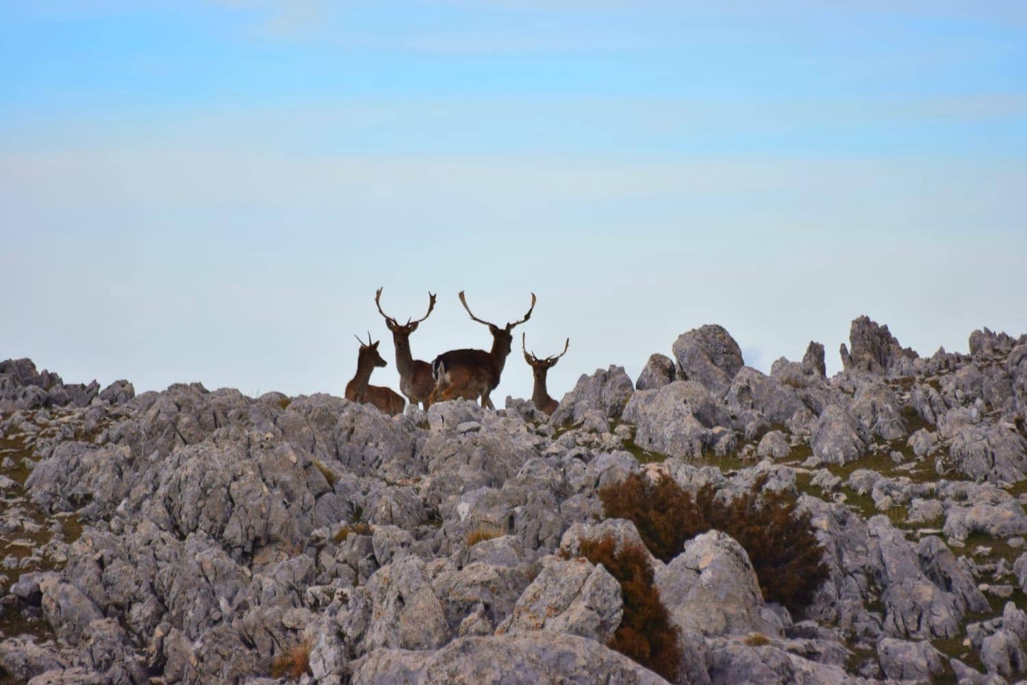 10 soveværelse Villa til salg i Castril med swimmingpool garage - € 8.500.000 (Ref: 8895019)