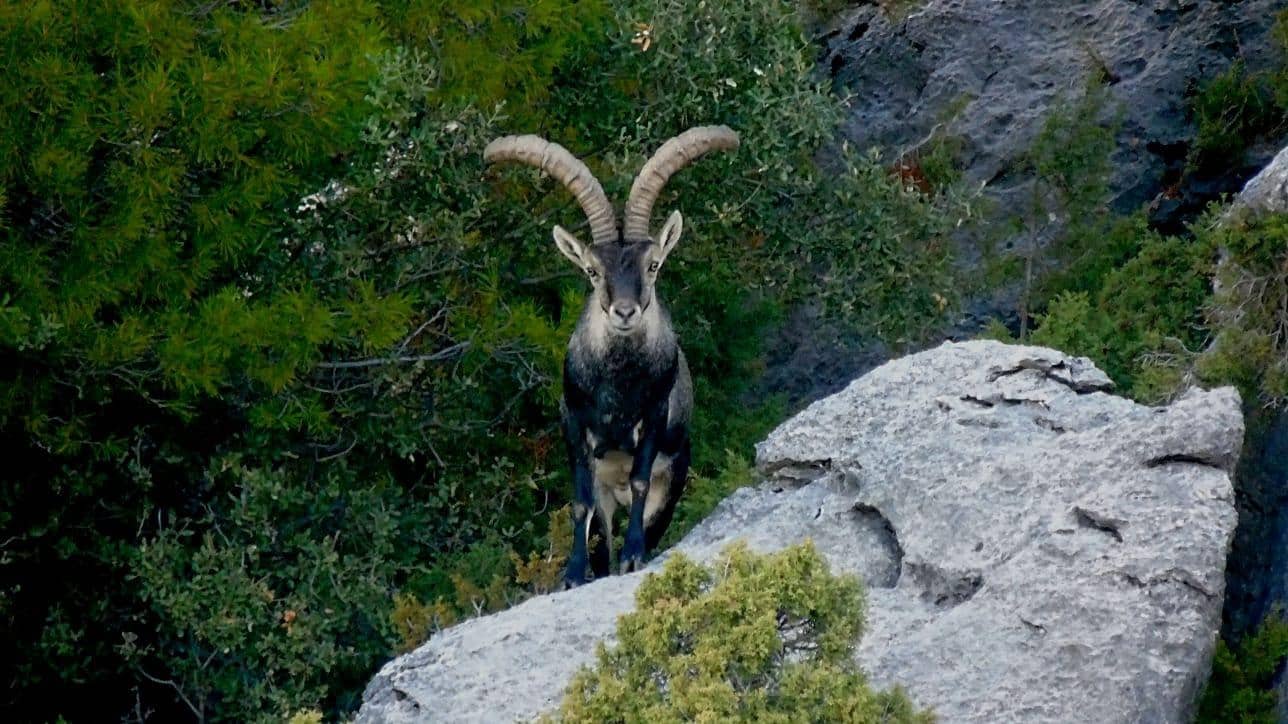 10 soveværelse Villa til salg i Castril med swimmingpool garage - € 8.500.000 (Ref: 8895019)