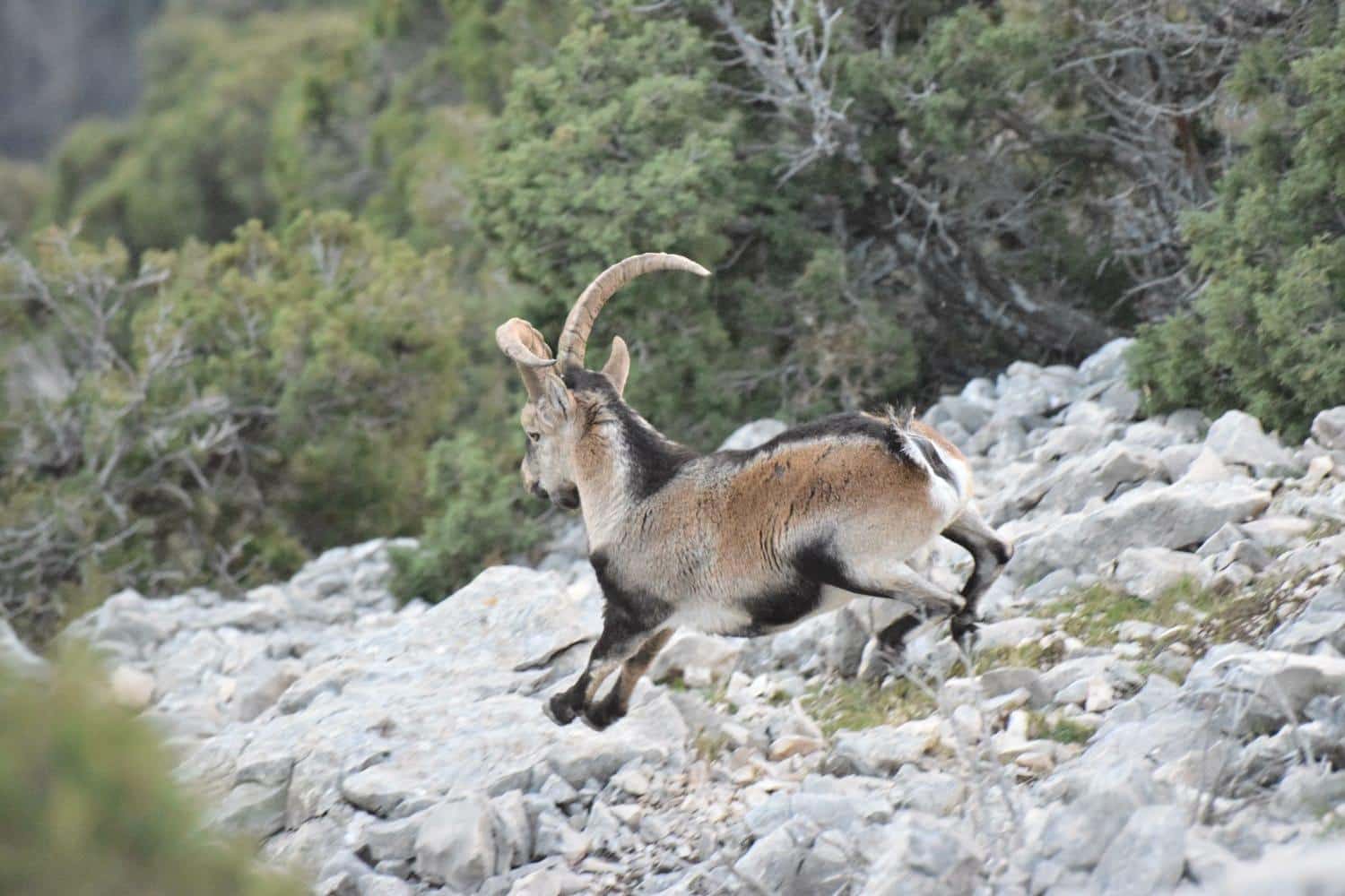 10 soveværelse Villa til salg i Castril med swimmingpool garage - € 8.500.000 (Ref: 8895019)