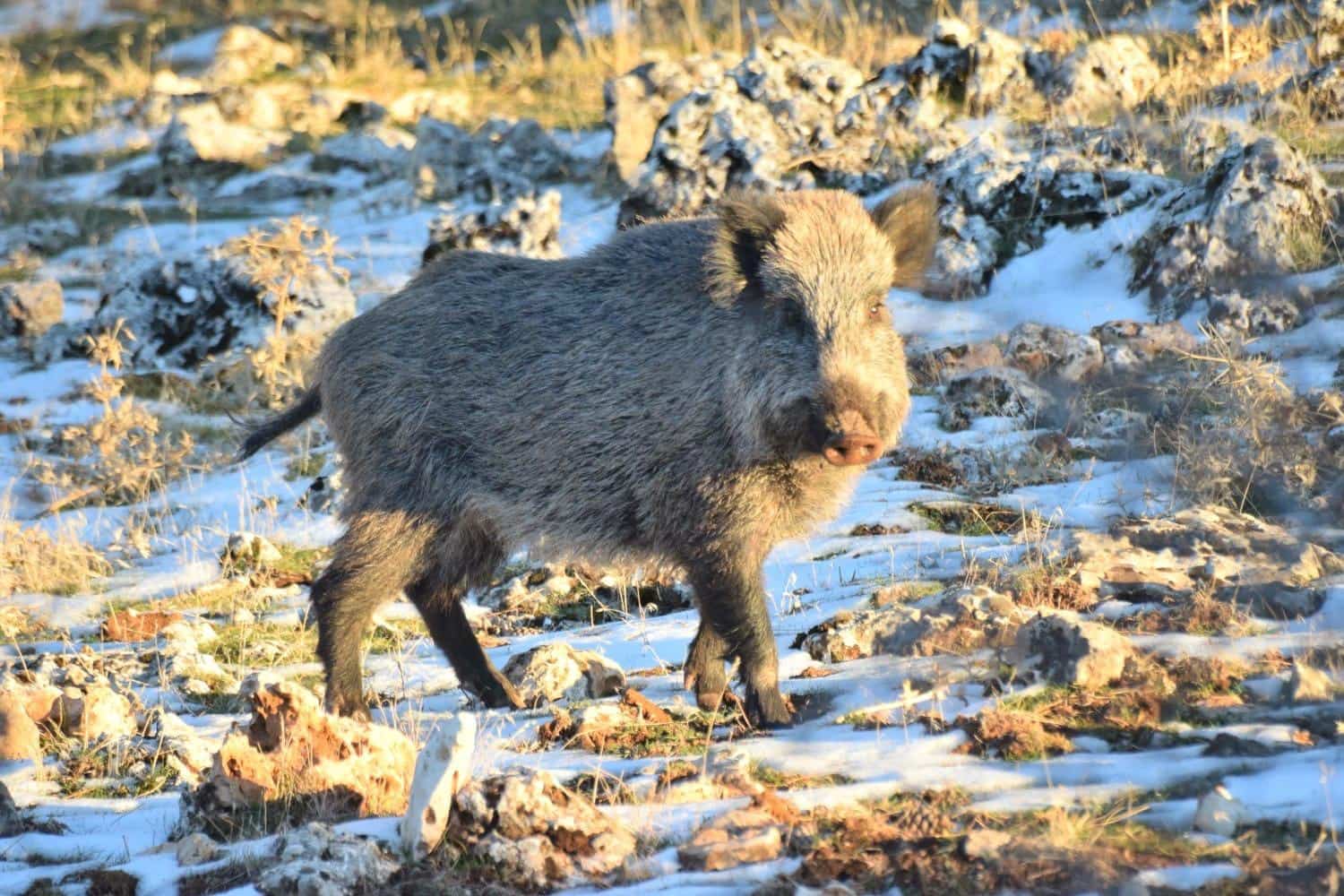 10 soveværelse Villa til salg i Castril med swimmingpool garage - € 8.500.000 (Ref: 8895019)