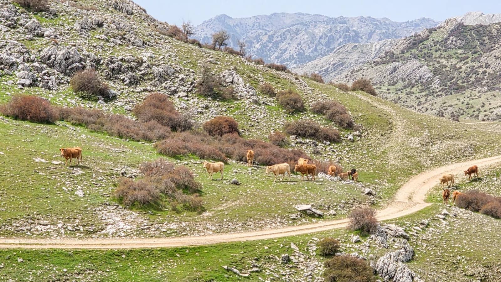 10 soveværelse Villa til salg i Castril med swimmingpool garage - € 8.500.000 (Ref: 8895019)