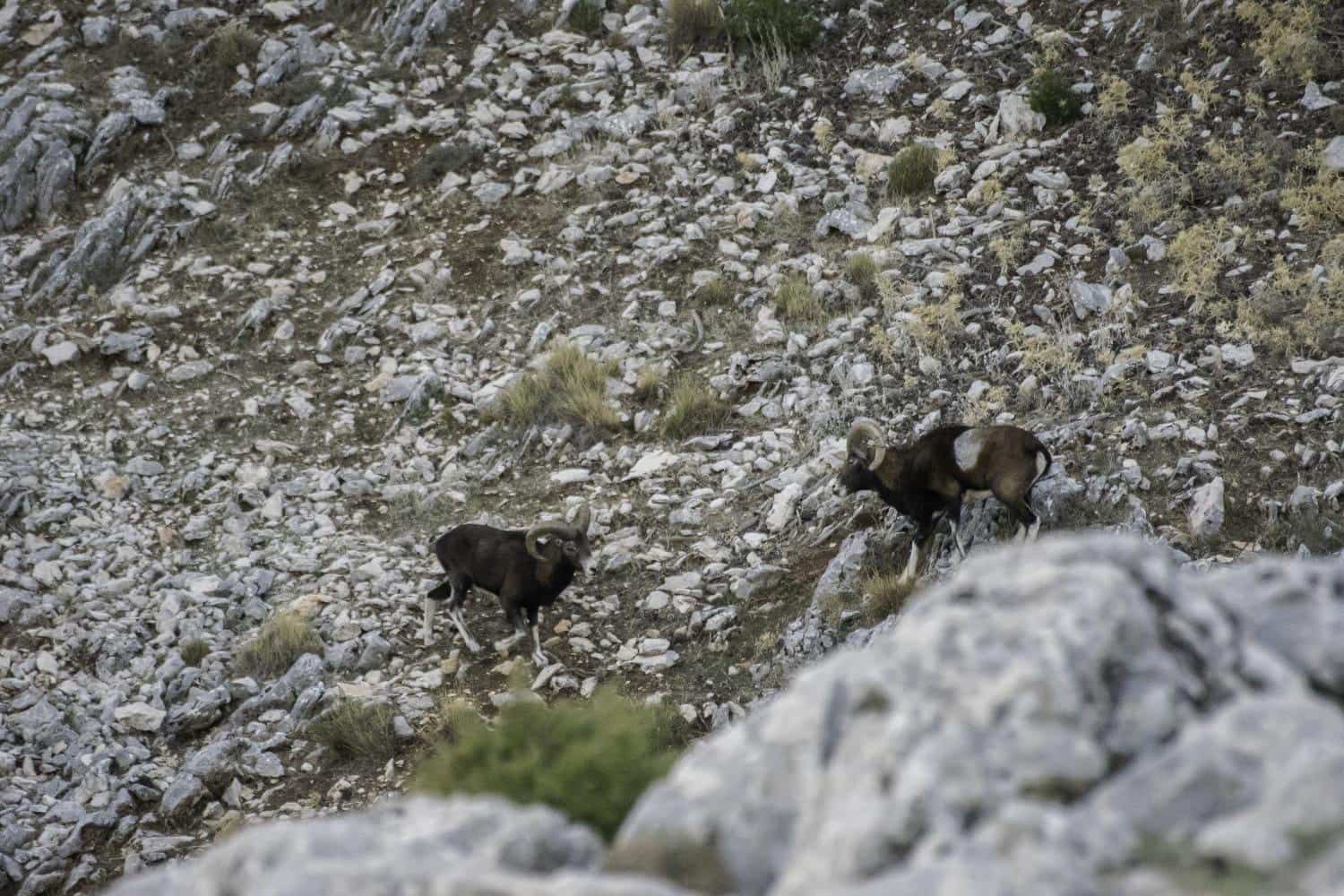 10 soveværelse Villa til salg i Castril med swimmingpool garage - € 8.500.000 (Ref: 8895019)