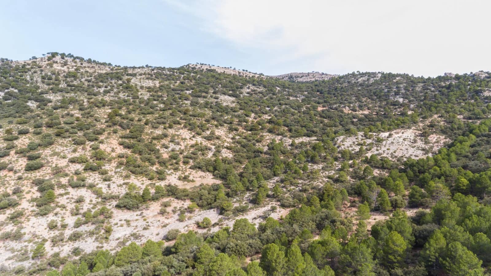 10 soveværelse Villa til salg i Castril med swimmingpool garage - € 8.500.000 (Ref: 8895019)