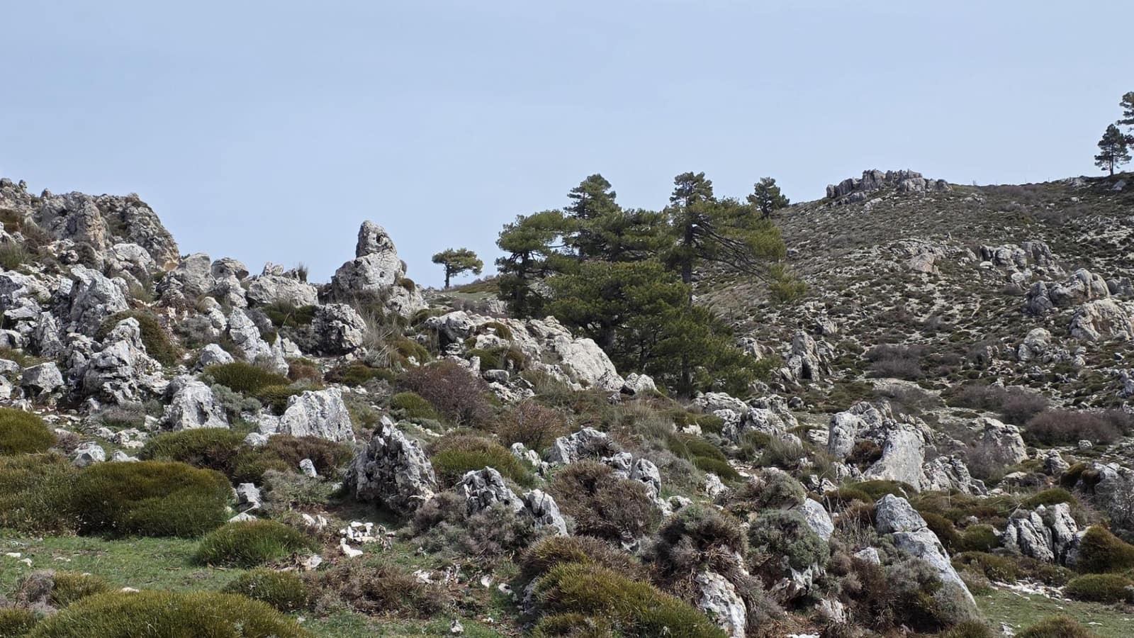 10 soveværelse Villa til salg i Castril med swimmingpool garage - € 8.500.000 (Ref: 8895019)