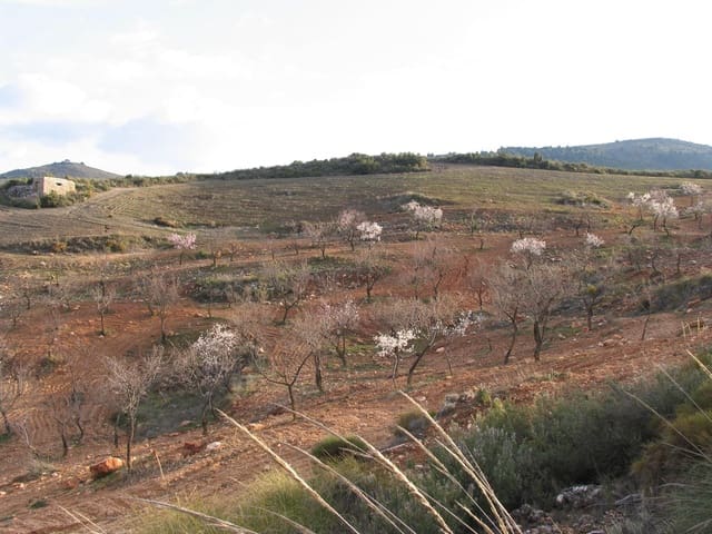 Rakentamaton maa myytävänä paikassa Albuñuelas - 105 000 € (Ref: 8943889)