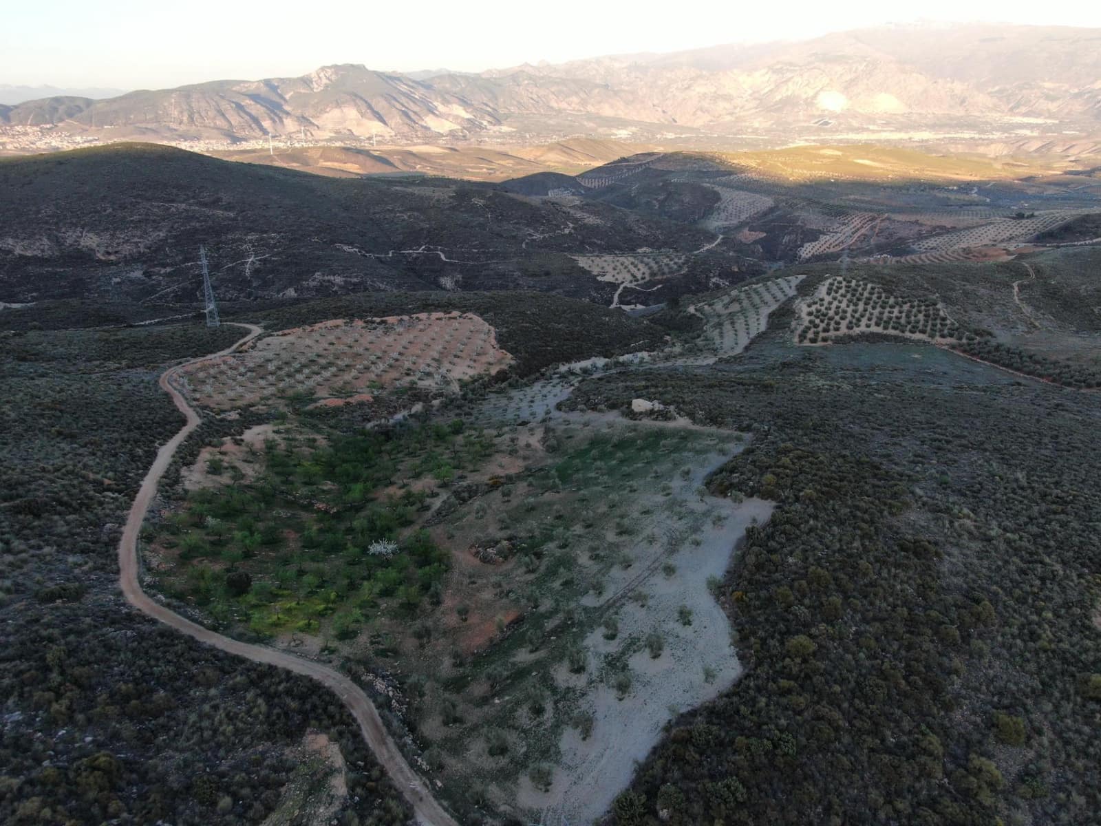 Rakentamaton maa myytävänä paikassa Albunuelas - 105 000 € (Ref: 8943889)