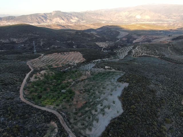 Rakentamaton maa myytävänä paikassa Albuñuelas - 105 000 € (Ref: 8943889)