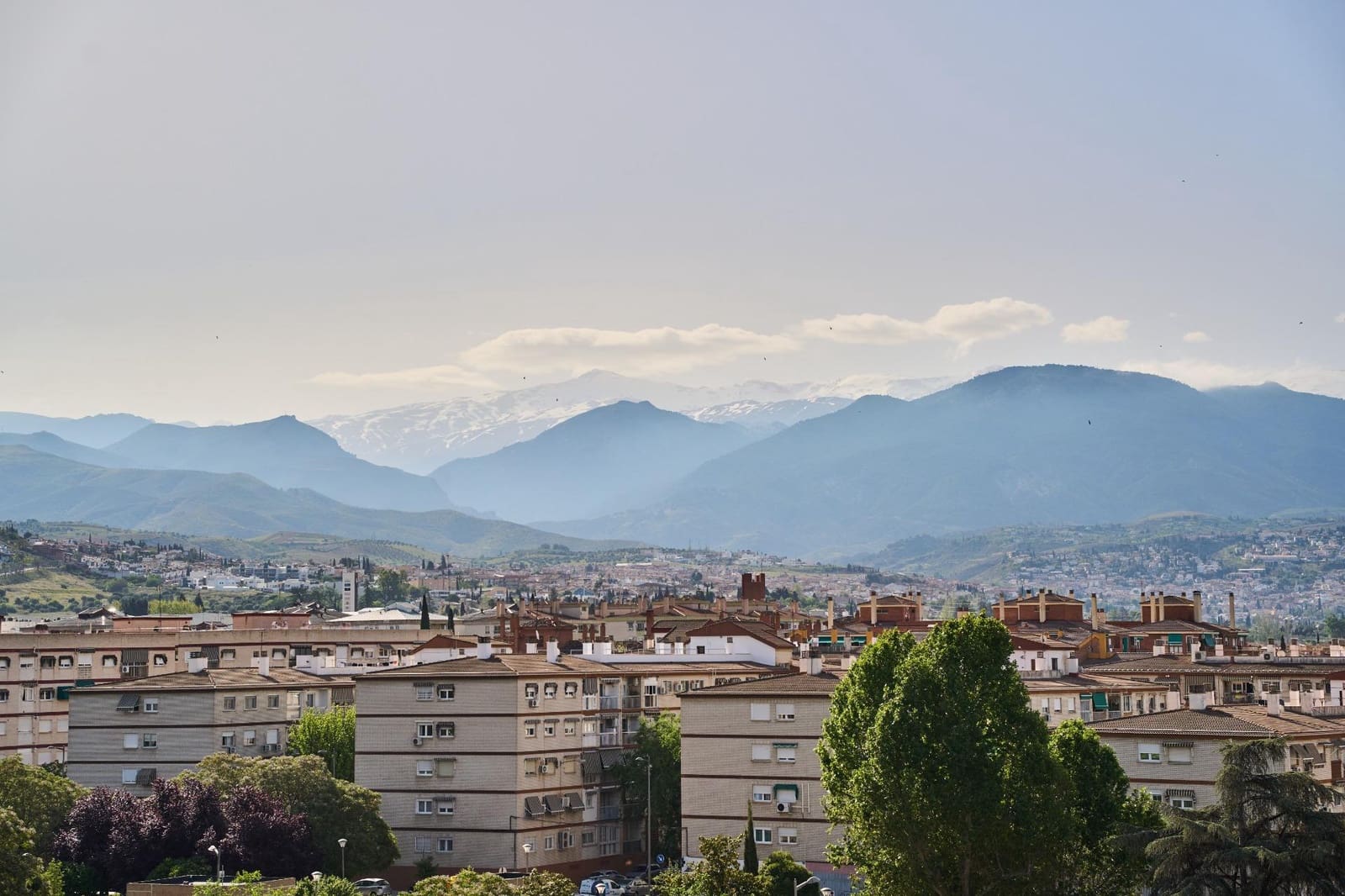 3 Zimmer Wohnung zu vermieten in Granada Stadt - 950 € (Ref: 8968577)