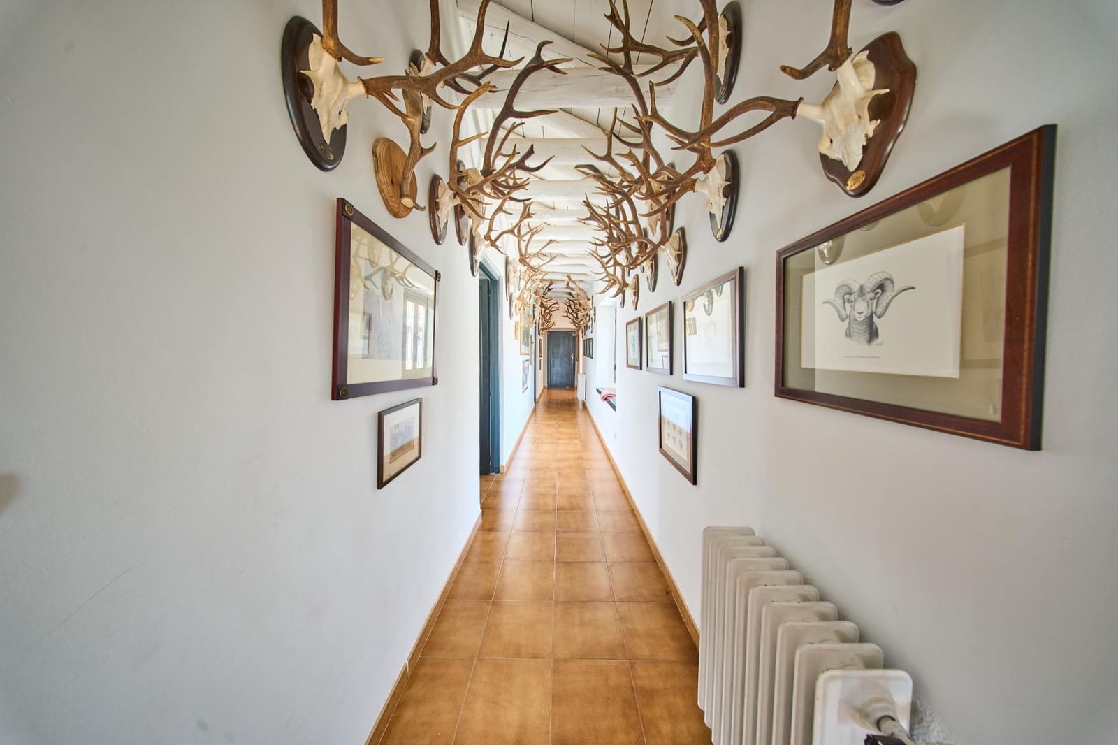 14 soverom Finca/Herregård til salgs i Puebla de Don Fadrique med svømmebasseng - € 7 200 000 (Ref: 8986198)