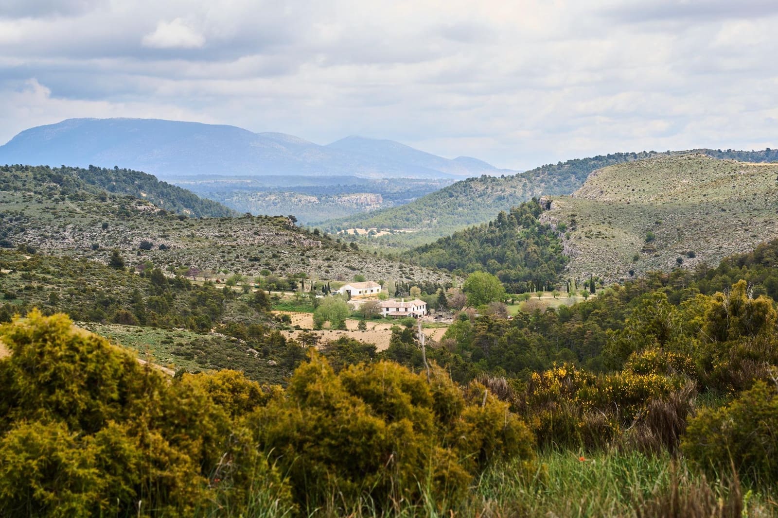 14 soverom Finca/Herregård til salgs i Puebla de Don Fadrique med svømmebasseng - € 7 200 000 (Ref: 8986198)