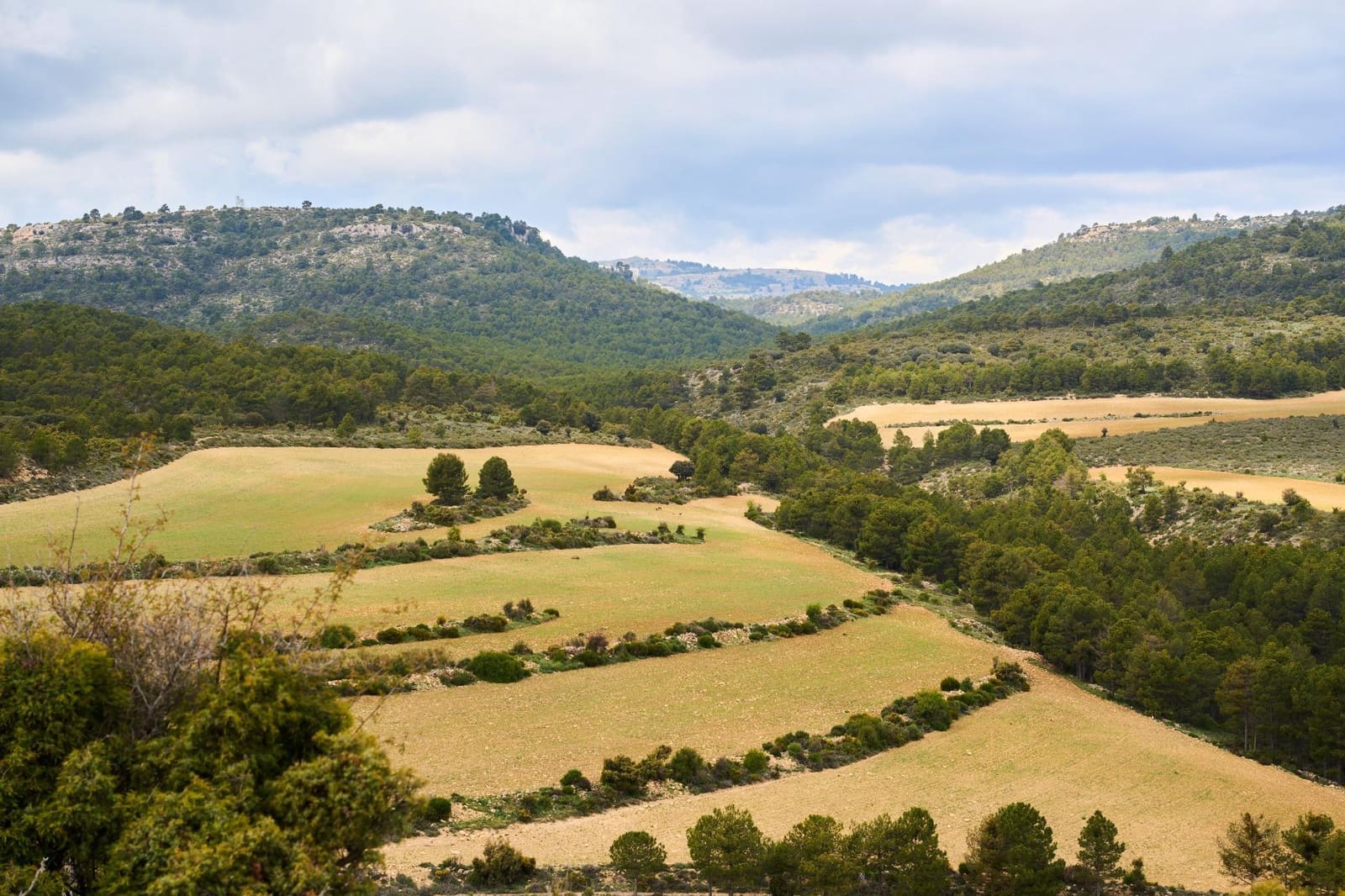 14 soverom Finca/Herregård til salgs i Puebla de Don Fadrique med svømmebasseng - € 7 200 000 (Ref: 8986198)