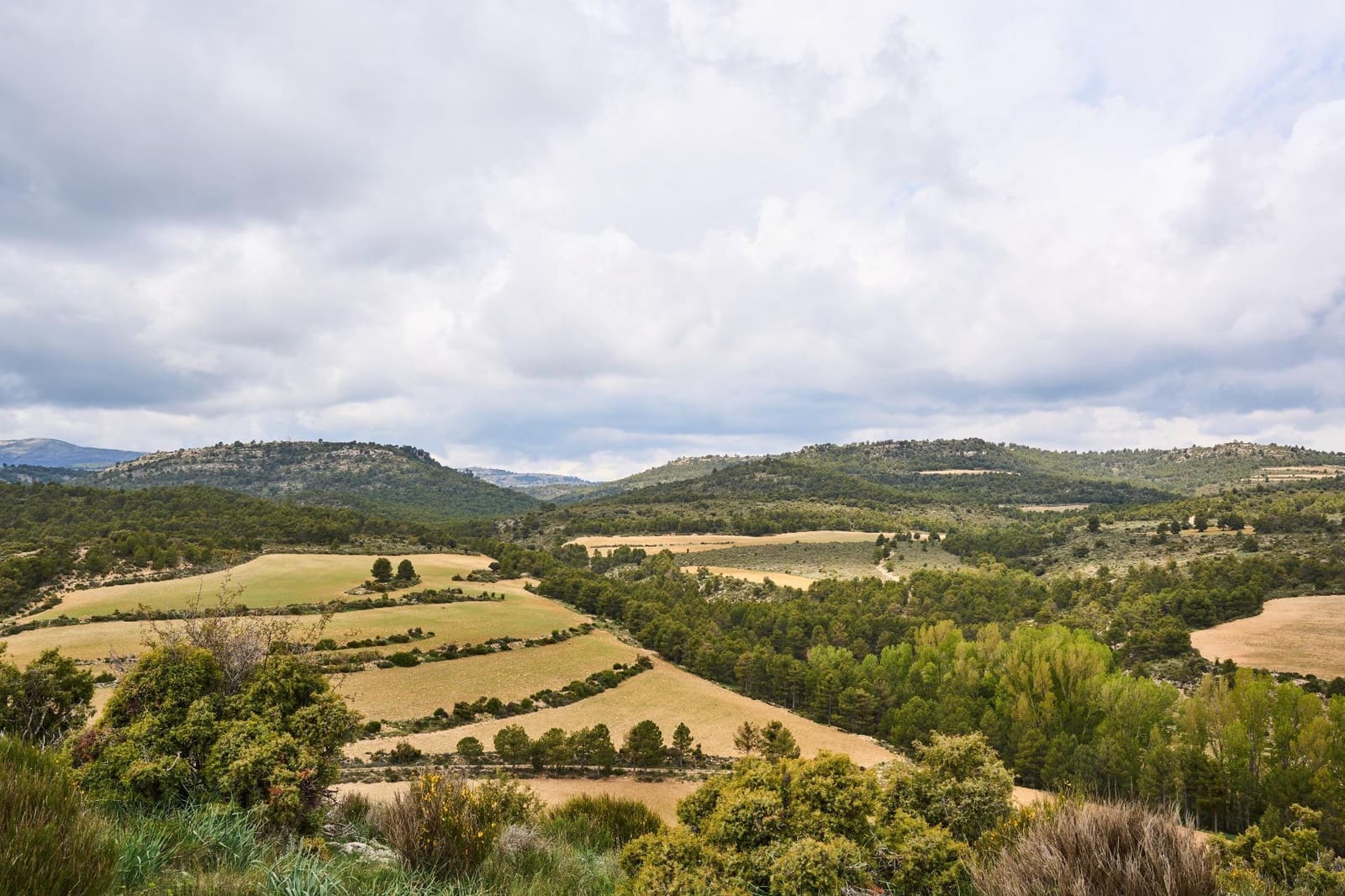 14 soverom Finca/Herregård til salgs i Puebla de Don Fadrique med svømmebasseng - € 7 200 000 (Ref: 8986198)