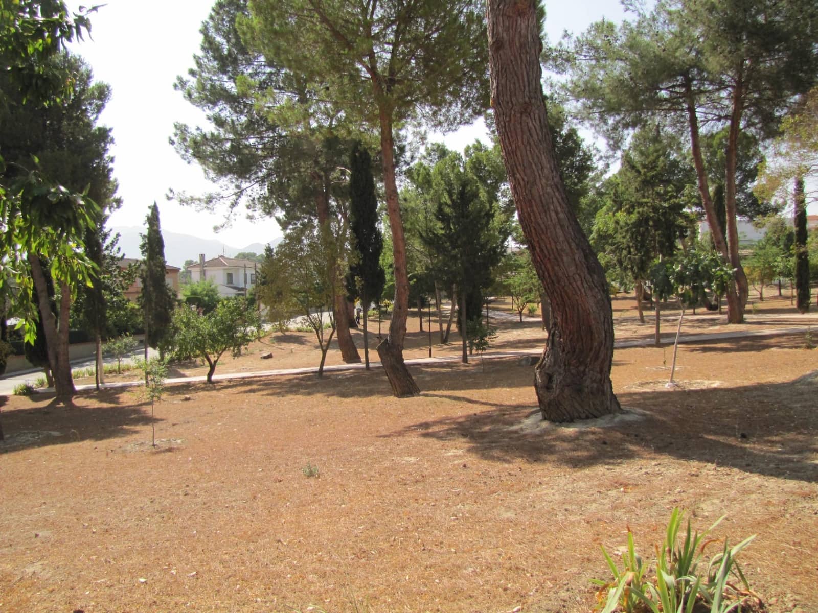 Solar/Parcela en Otura en venta - 110.000 € (Ref: 8994691)