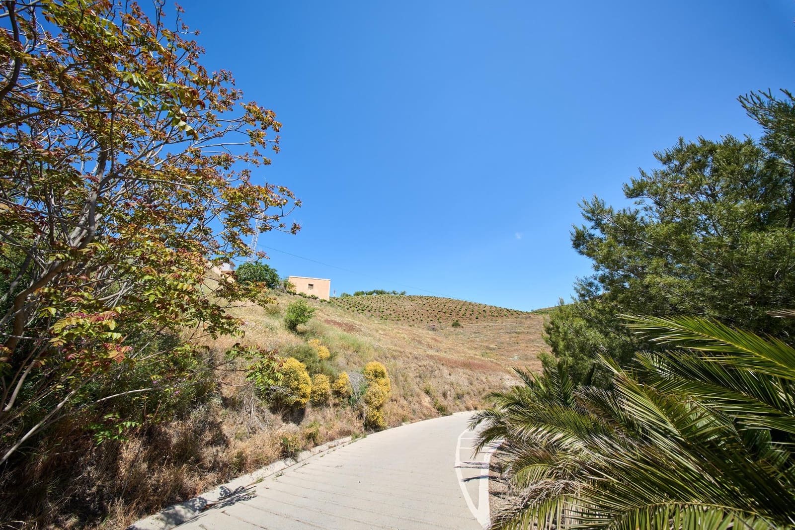 Bouwgrond te koop in Albondon - € 66.900 (Ref: 8999262)