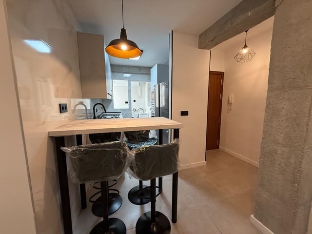4 soveværelse Lejlighed til leje i Granada by - € 1.600 (Ref: 9137324)