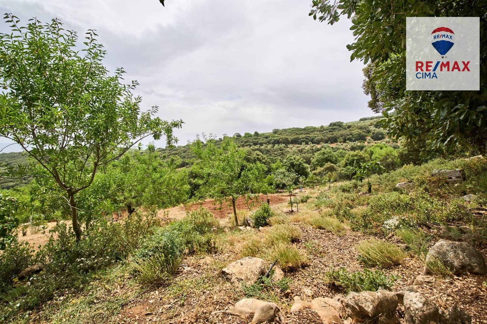 4 slaapkamer Finca/Landhuis te koop in Alcala la Real met zwembad garage - € 399.000 (Ref: 9162423)