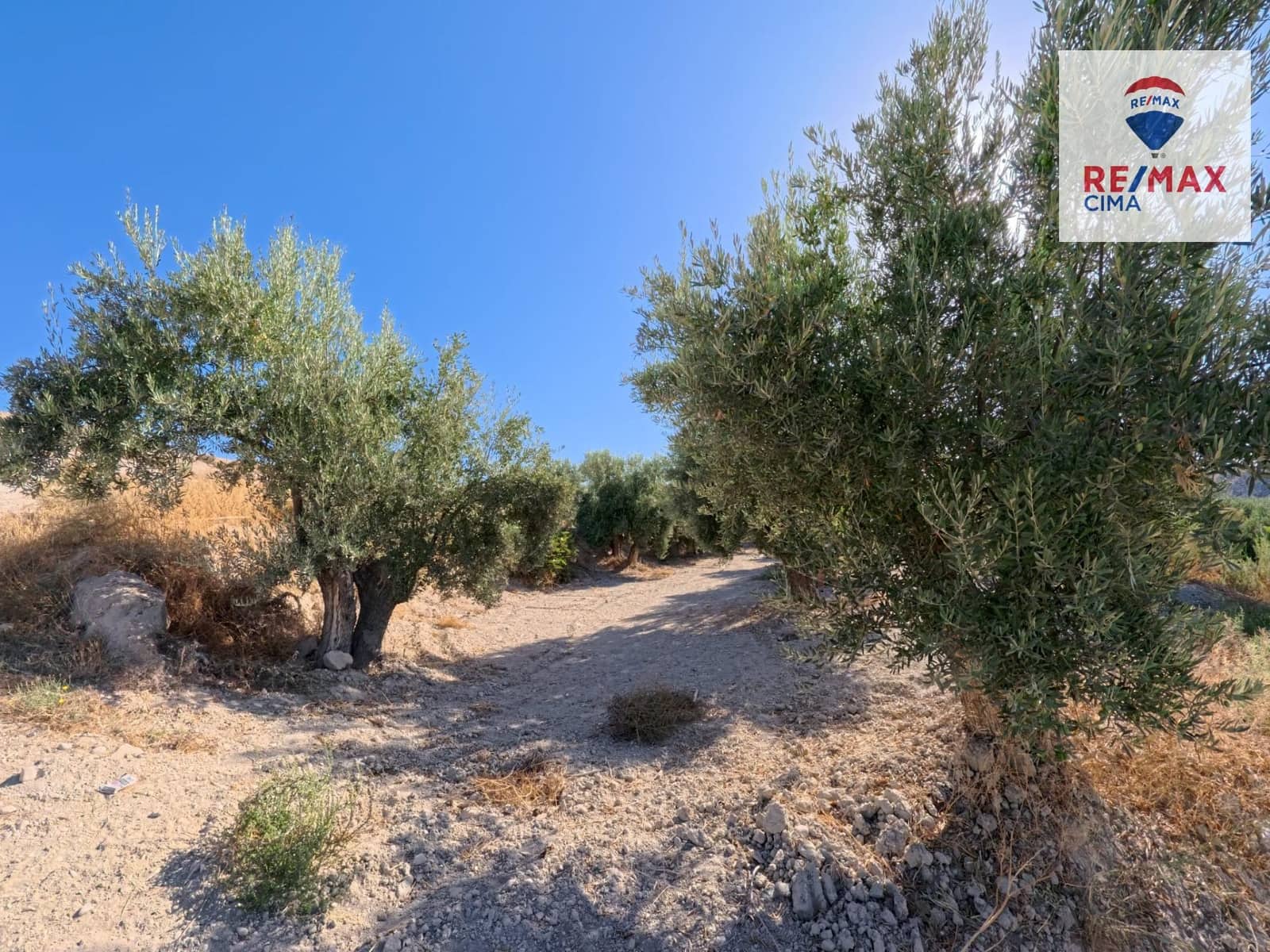 Finka/Dom wiejski na sprzedaż w Benamaurel - 50 000 € (Ref: 9335240)