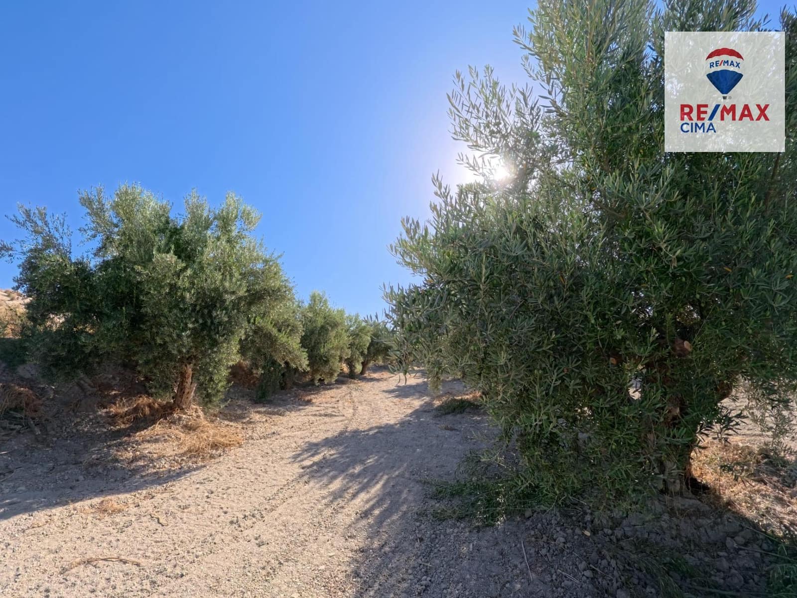 Finka/Dom wiejski na sprzedaż w Benamaurel - 50 000 € (Ref: 9335240)