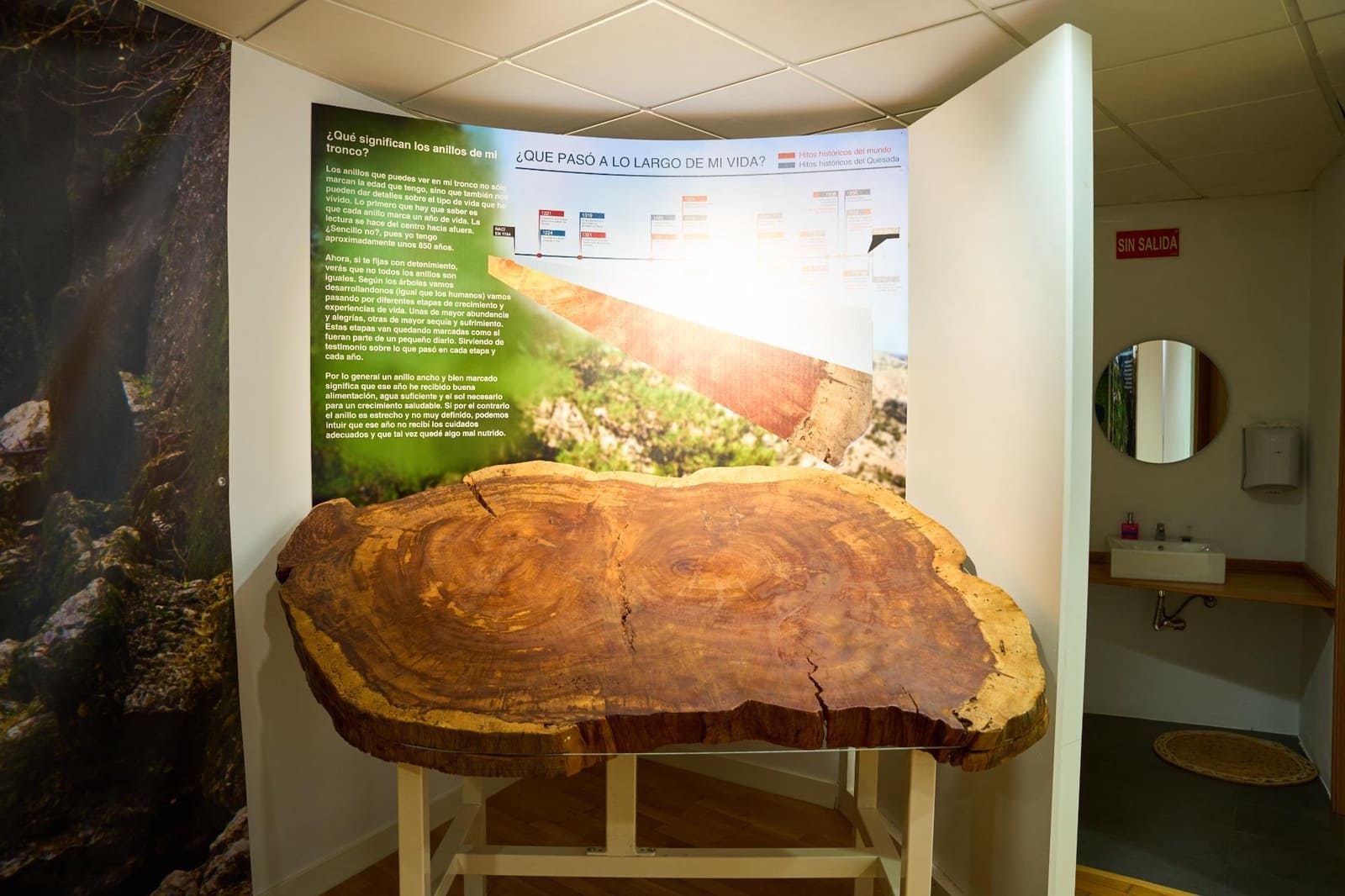 Hotel for sale in Quesada - € 1,990,000 (Ref: 9374636)