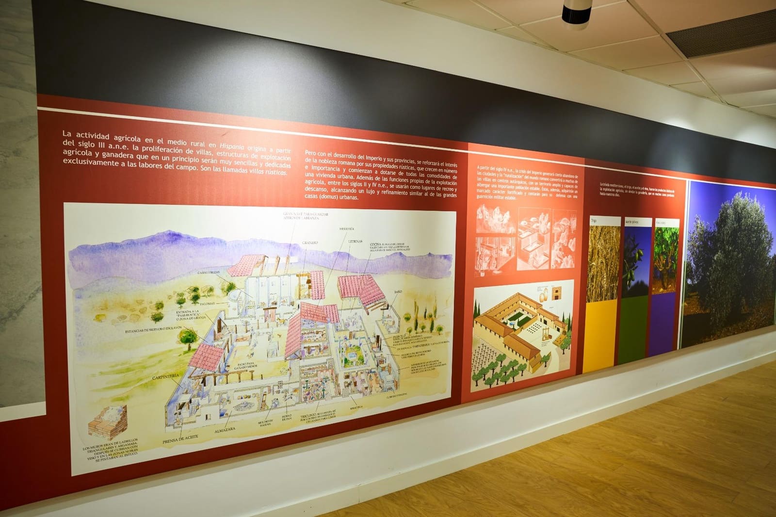 Hotel for sale in Quesada - € 1,990,000 (Ref: 9374636)