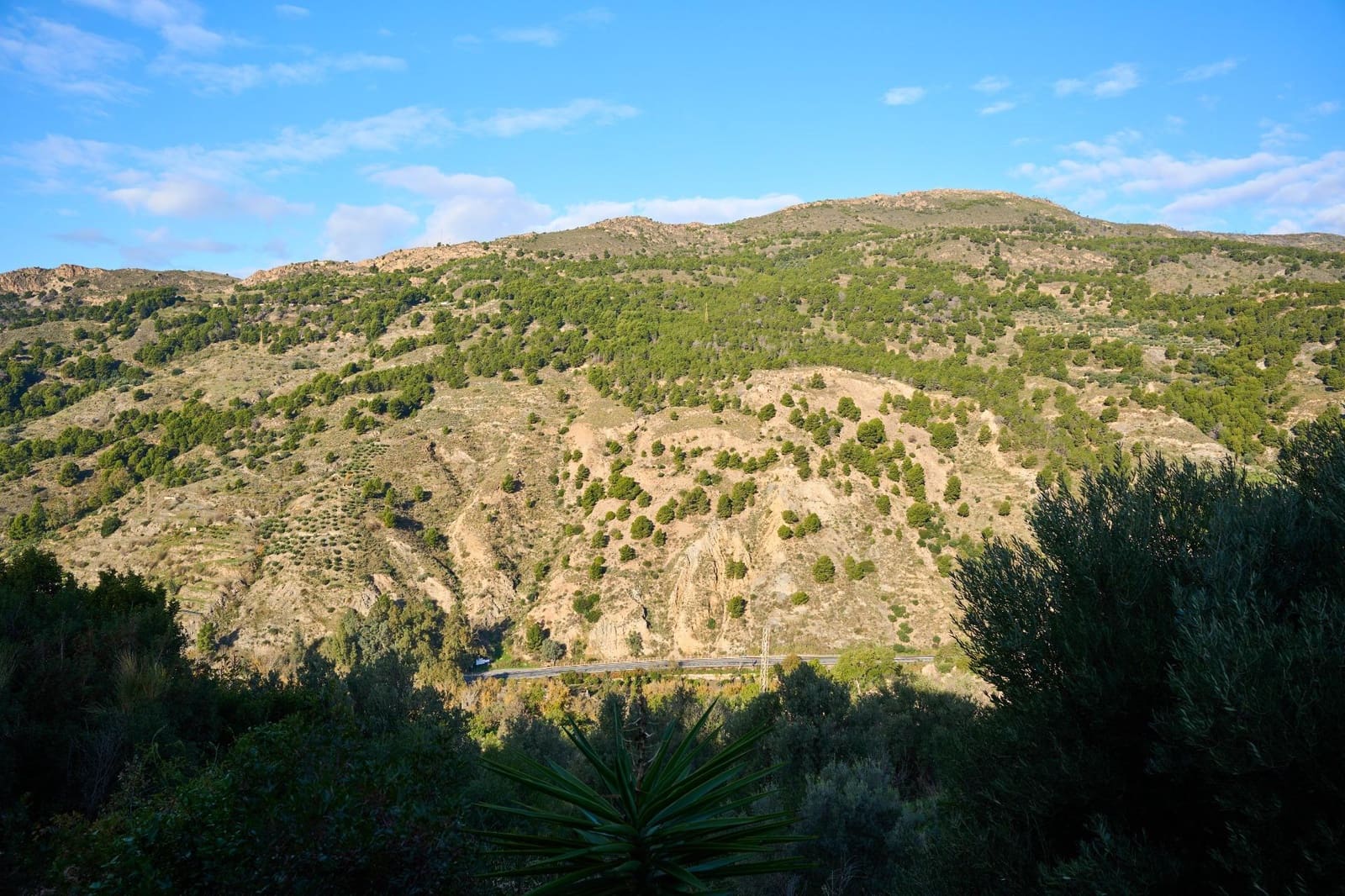 3 Zimmer Villa zu verkaufen in Velez de Benaudalla mit Pool Garage - 390.000 € (Ref: 9470615)