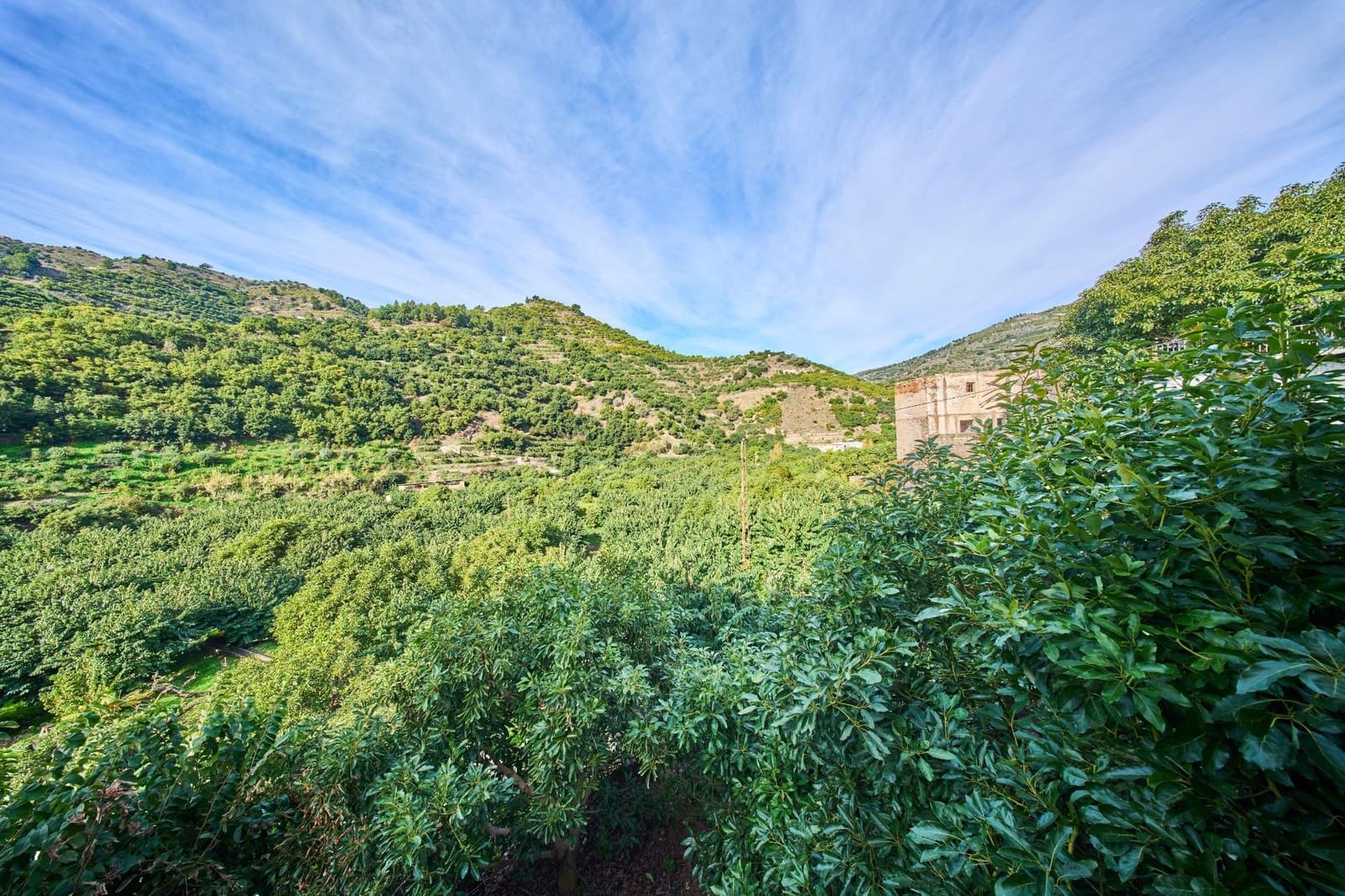 2 sovrum Hus till salu i Jete - 90 000 € (Ref: 9474328)