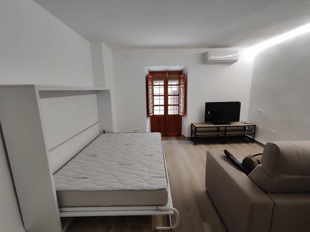 Studio de 1 chambre à louer à Centro - Sagrario, Grenade ville - 750 € (Ref: 9491631)
