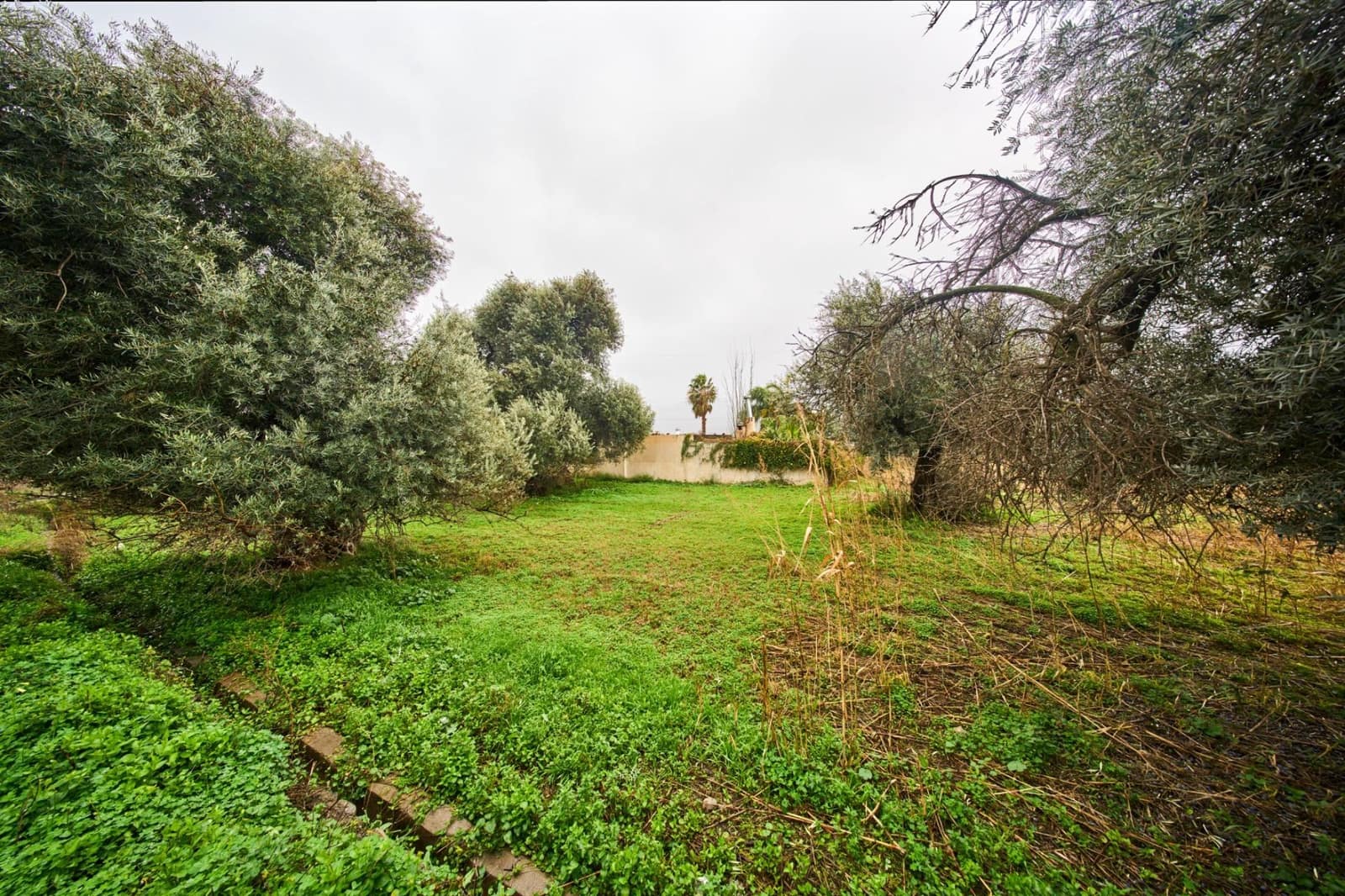 Mark till salu i Orgiva - 95 000 € (Ref: 9576728)