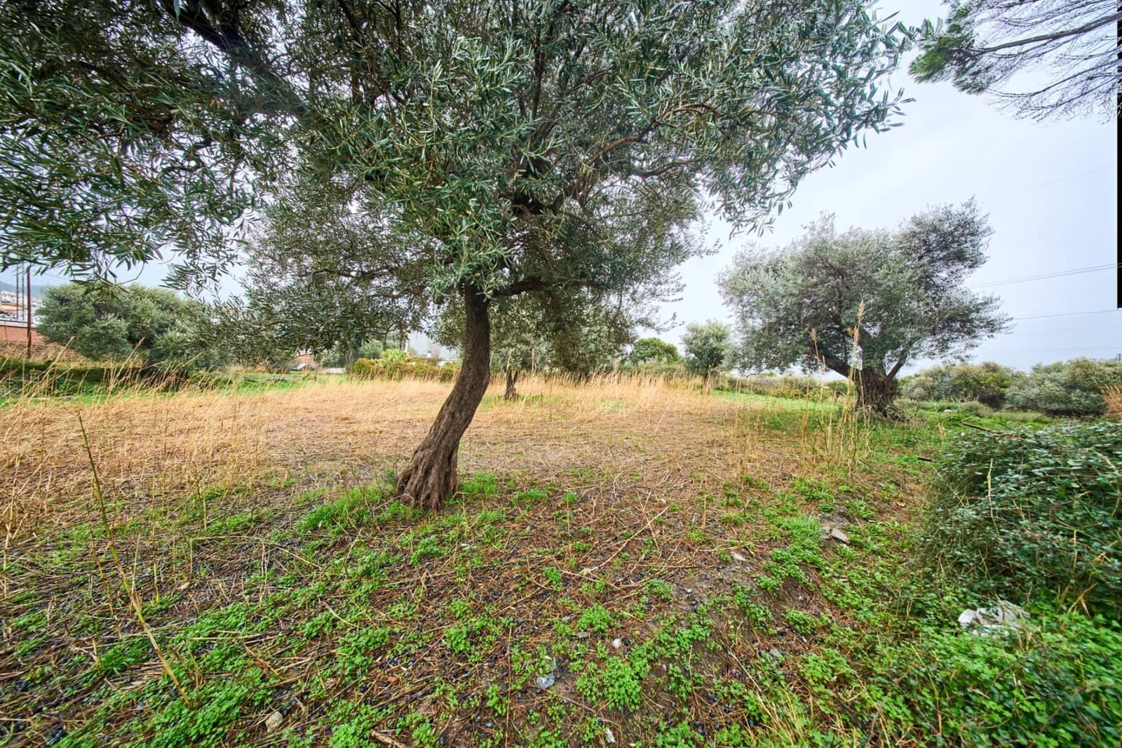 Undeveloped Land for sale in Orgiva - € 80,000 (Ref: 9576728)