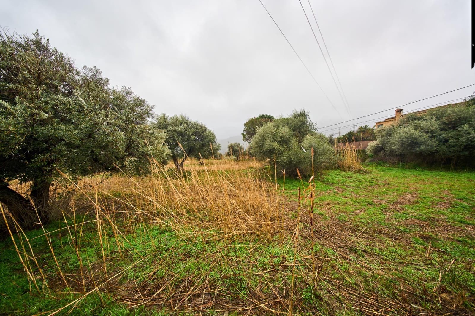 Undeveloped Land for sale in Orgiva - € 80,000 (Ref: 9576728)