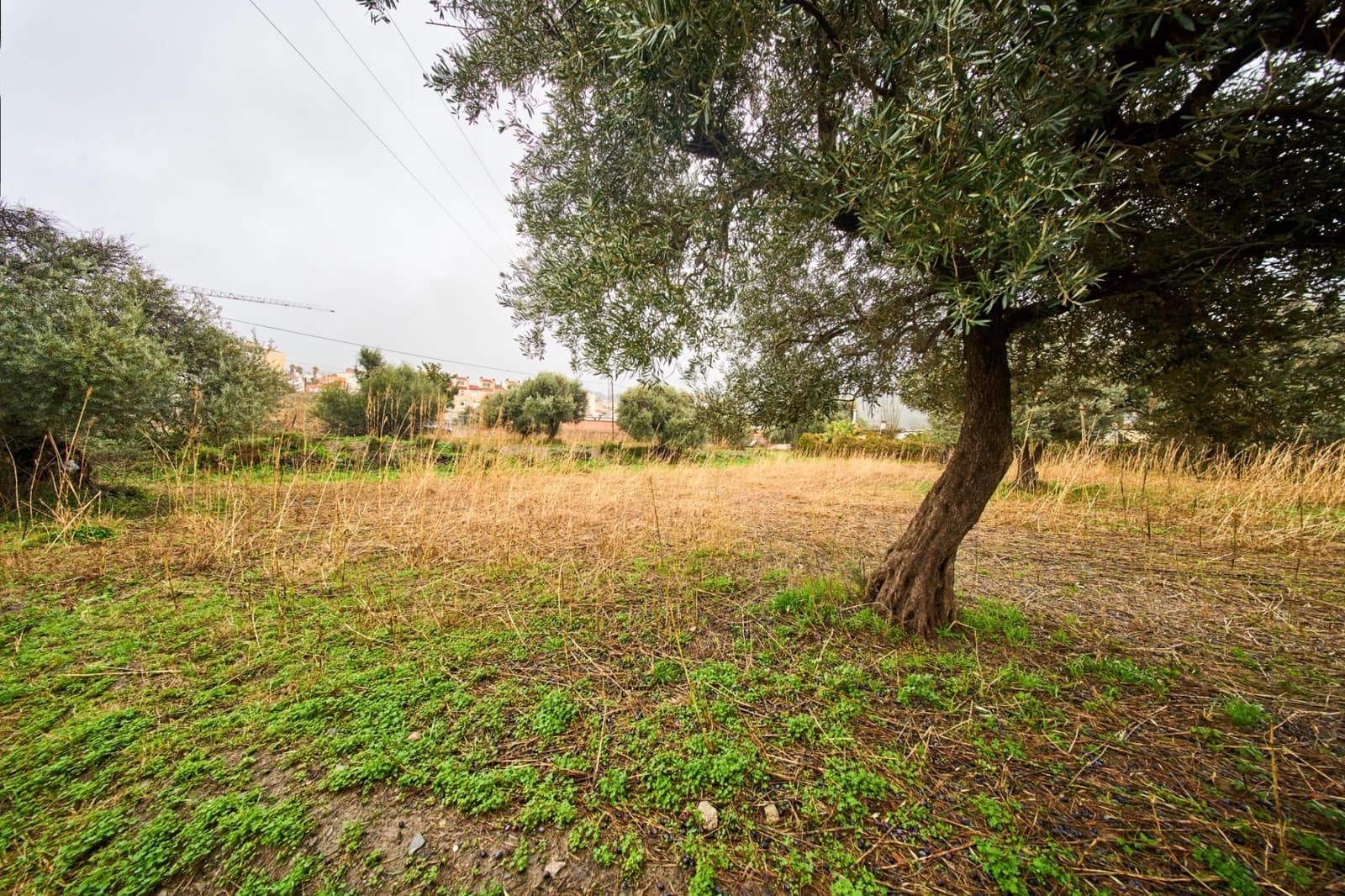 Undeveloped Land for sale in Orgiva - € 80,000 (Ref: 9576728)