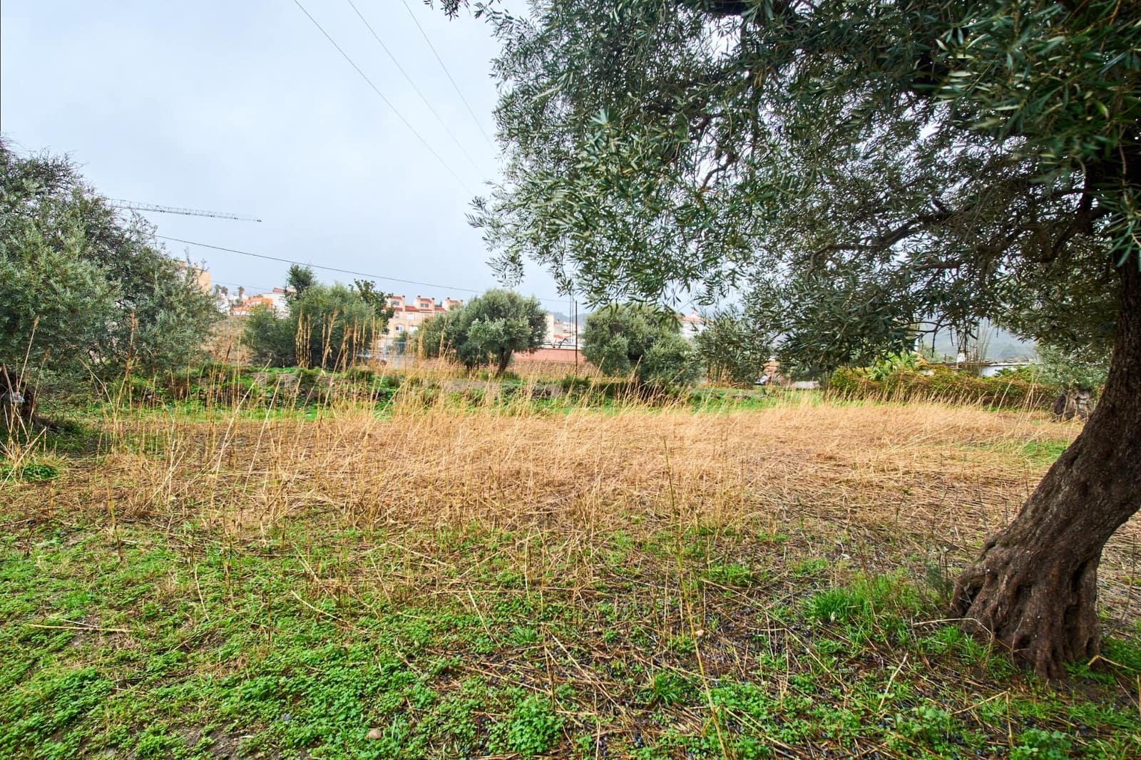 Undeveloped Land for sale in Orgiva - € 80,000 (Ref: 9576728)