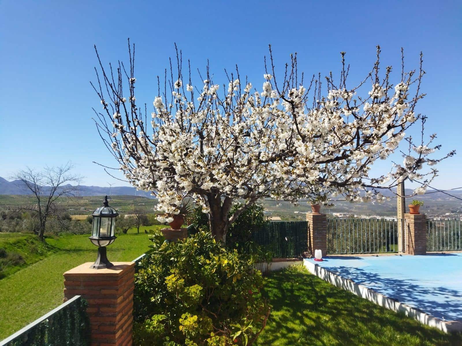 4 soverom Villa til salgs i Niguelas med svømmebasseng garasje - € 419 000 (Ref: 9608239)