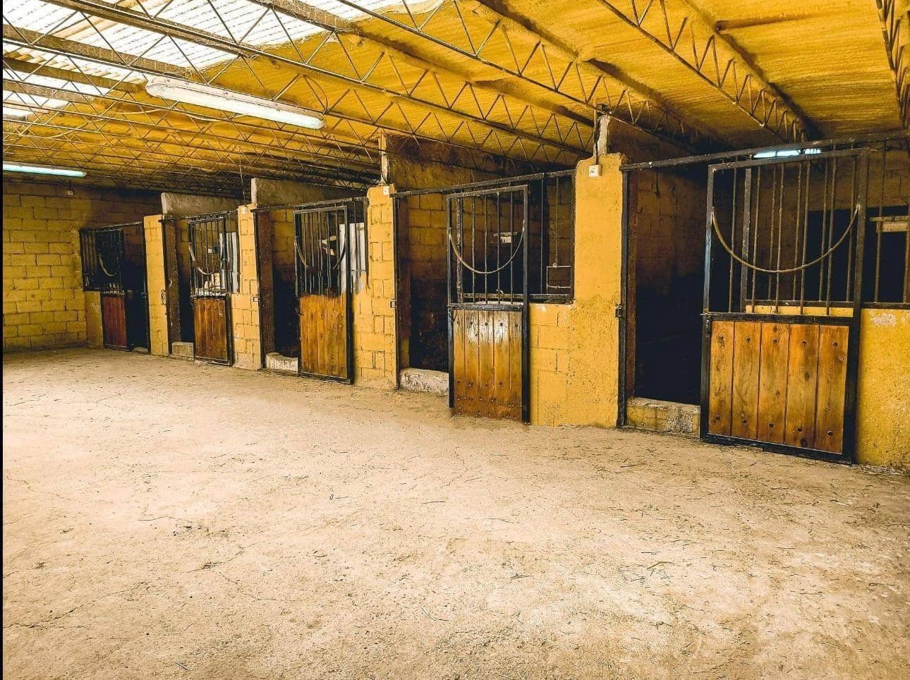 6 camera da letto Finca/Casa di Campagna in vendita in Baza con garage - 875.000 € (Rif: 9627802)