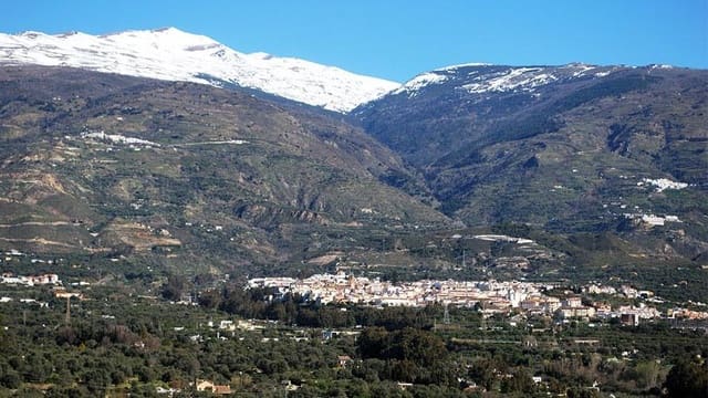 Landgrundstück zu verkaufen in Orgiva - 480.000 € (Ref: 9670910)