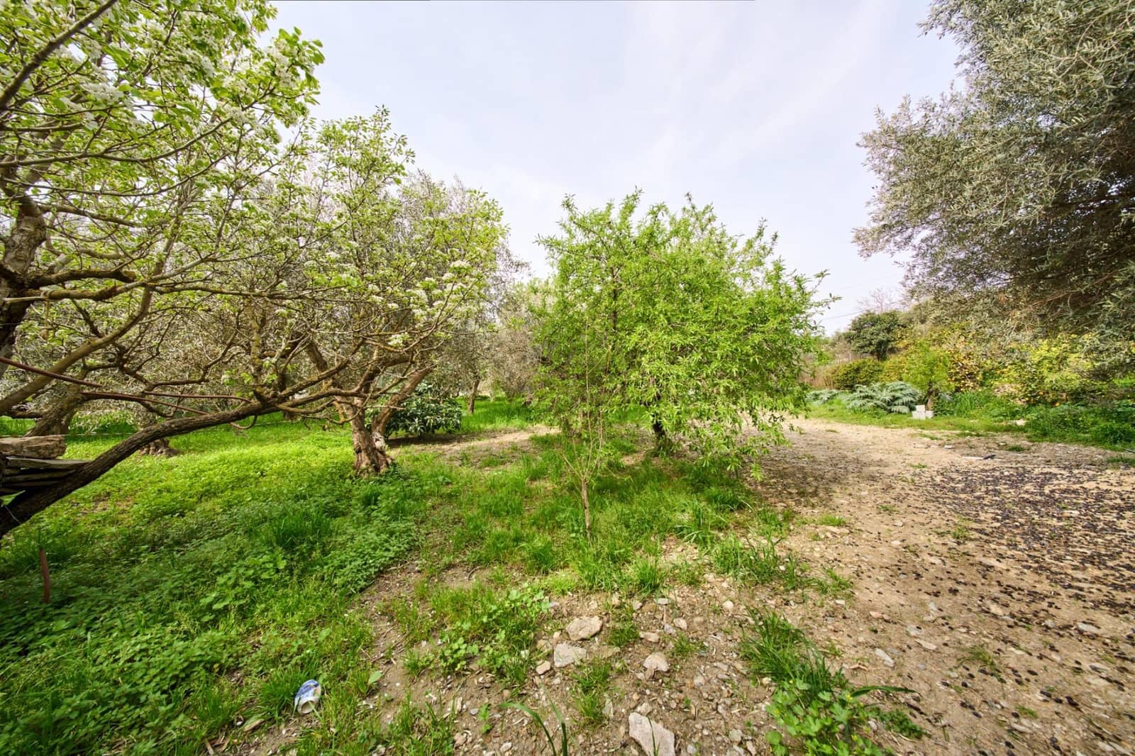 3 Zimmer Finca/Landgut zu verkaufen in Orgiva mit Pool - 205.900 € (Ref: 9712182)