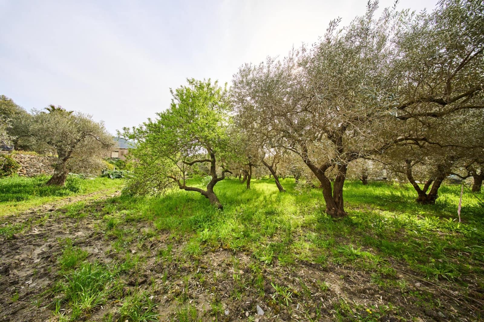 3 Zimmer Finca/Landgut zu verkaufen in Orgiva mit Pool - 205.900 € (Ref: 9712182)