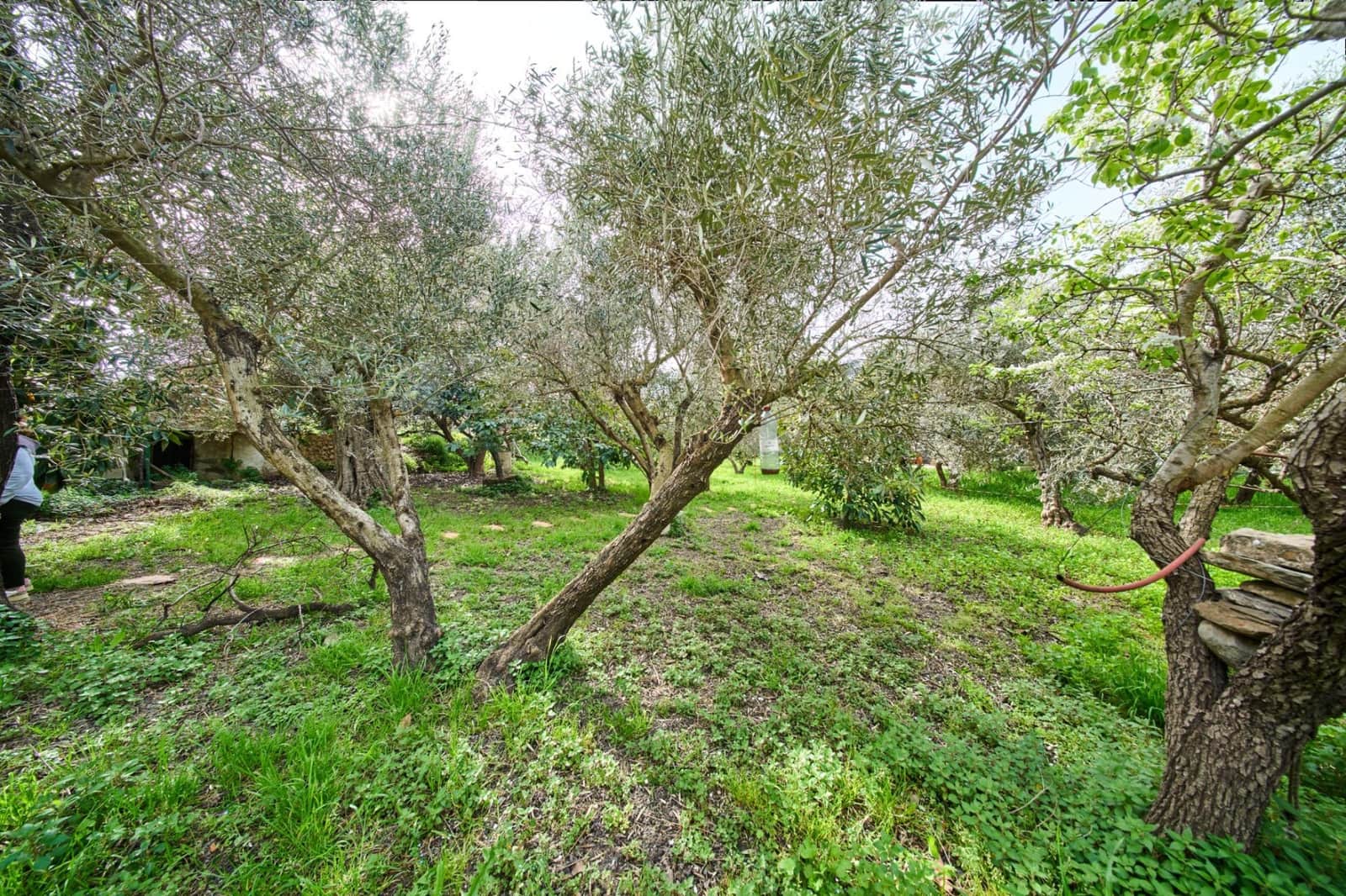 3 Zimmer Finca/Landgut zu verkaufen in Orgiva mit Pool - 205.900 € (Ref: 9712182)