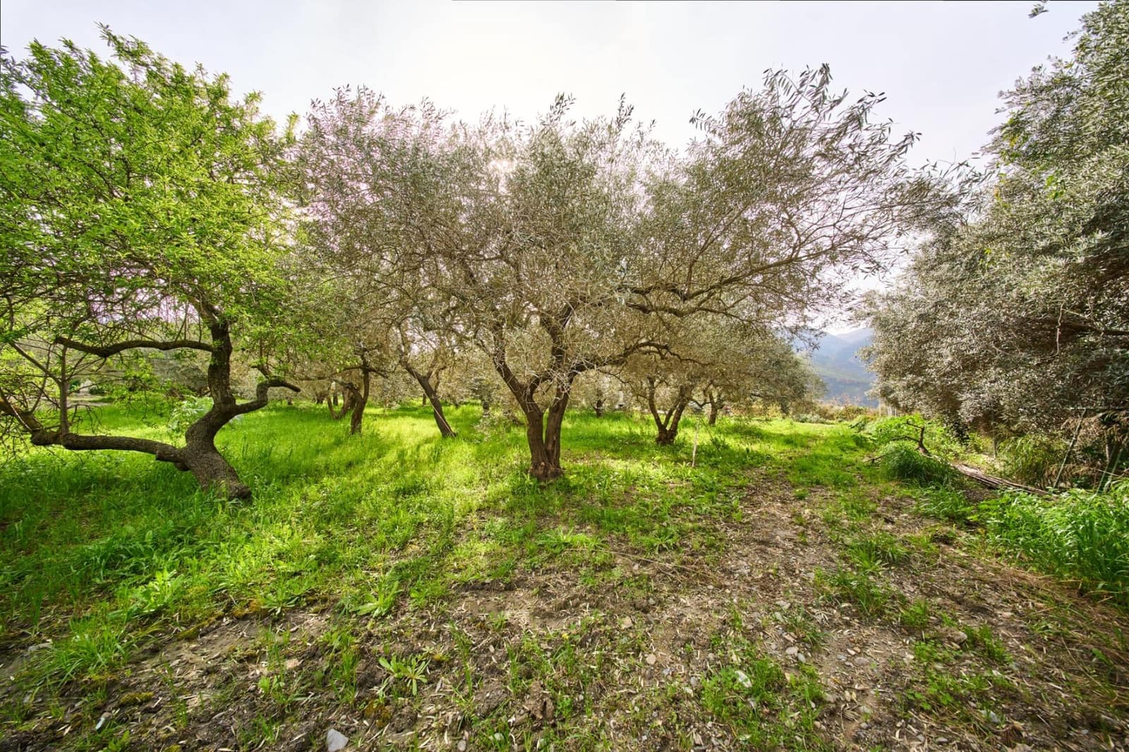 3 Zimmer Finca/Landgut zu verkaufen in Orgiva mit Pool - 205.900 € (Ref: 9712182)