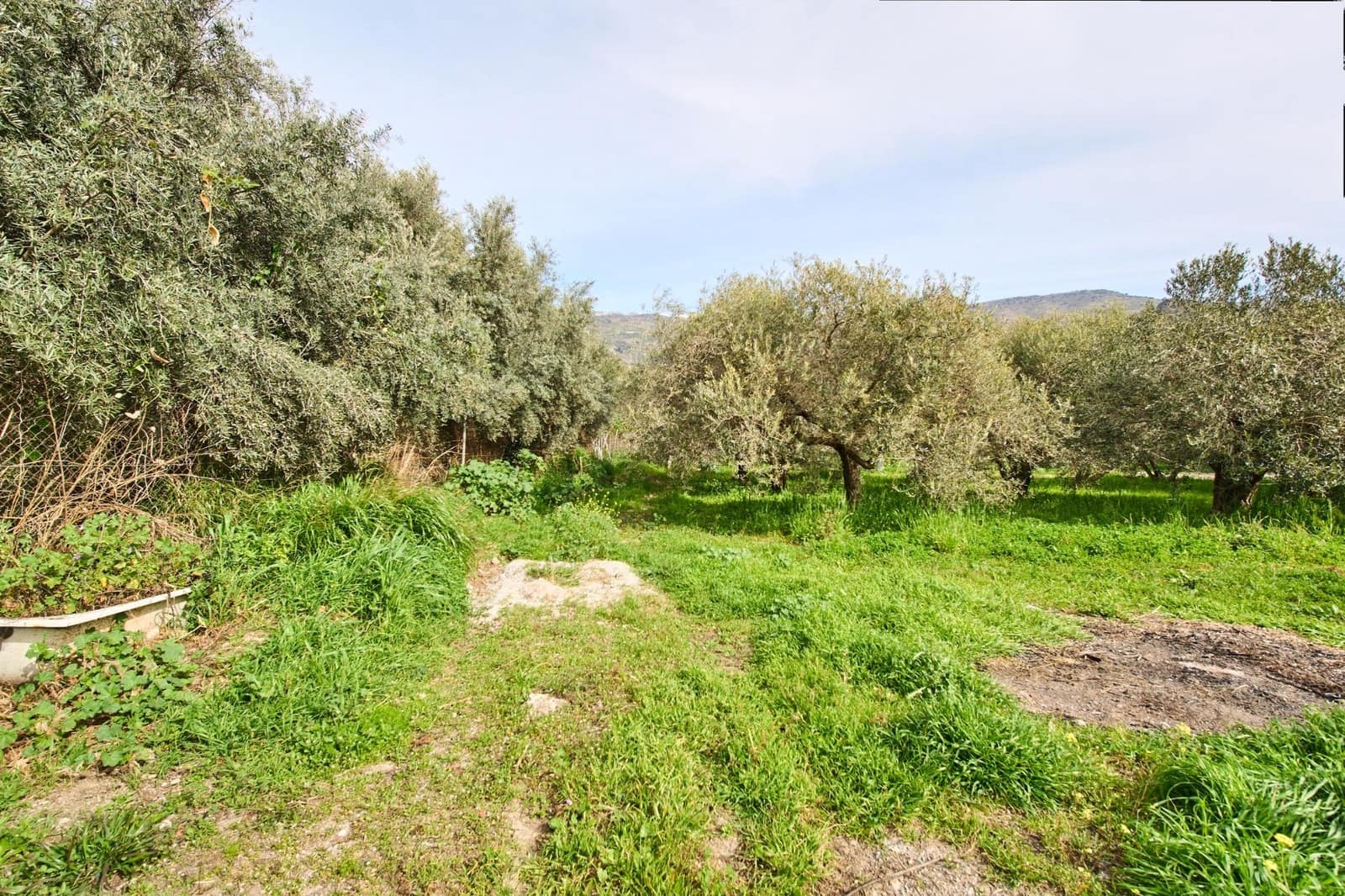 3 Zimmer Finca/Landgut zu verkaufen in Orgiva mit Pool - 205.900 € (Ref: 9712182)