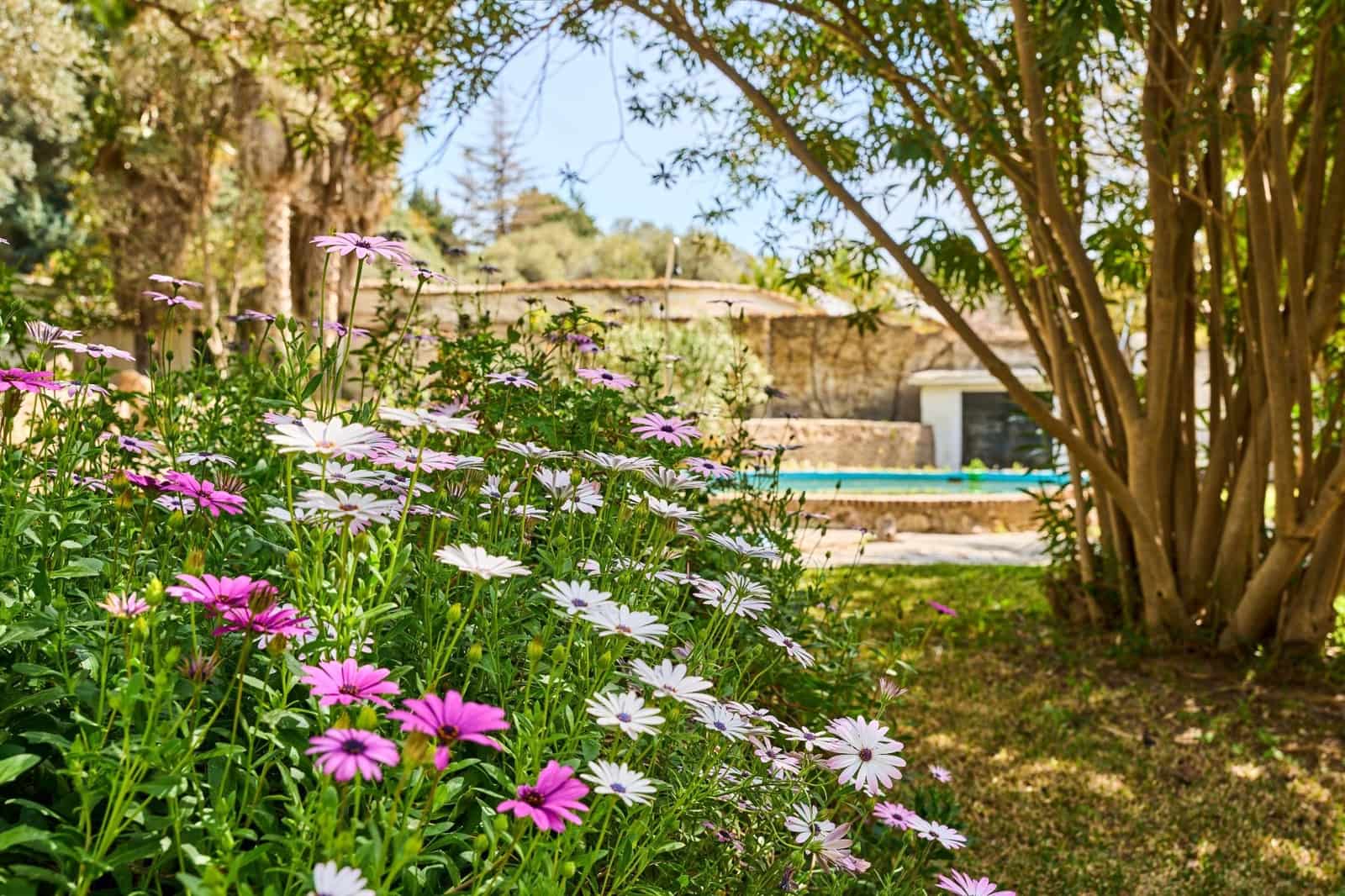 7 bedroom Finca/Country House for sale in Orgiva with pool - € 570,000 (Ref: 9721893)