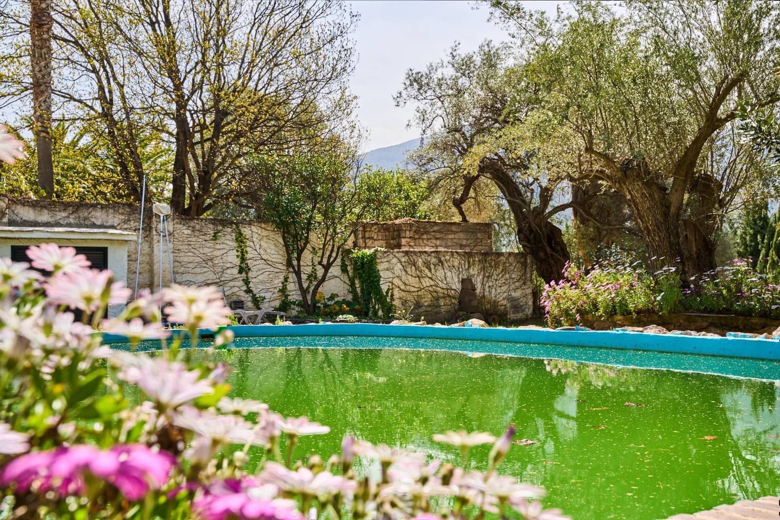 7 bedroom Finca/Country House for sale in Orgiva with pool - € 570,000 (Ref: 9721893)