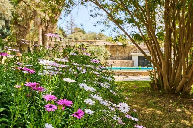 7 sovrum Finca/Hus på landet till salu i Orgiva med pool - 570 000 € (Ref: 9721893)